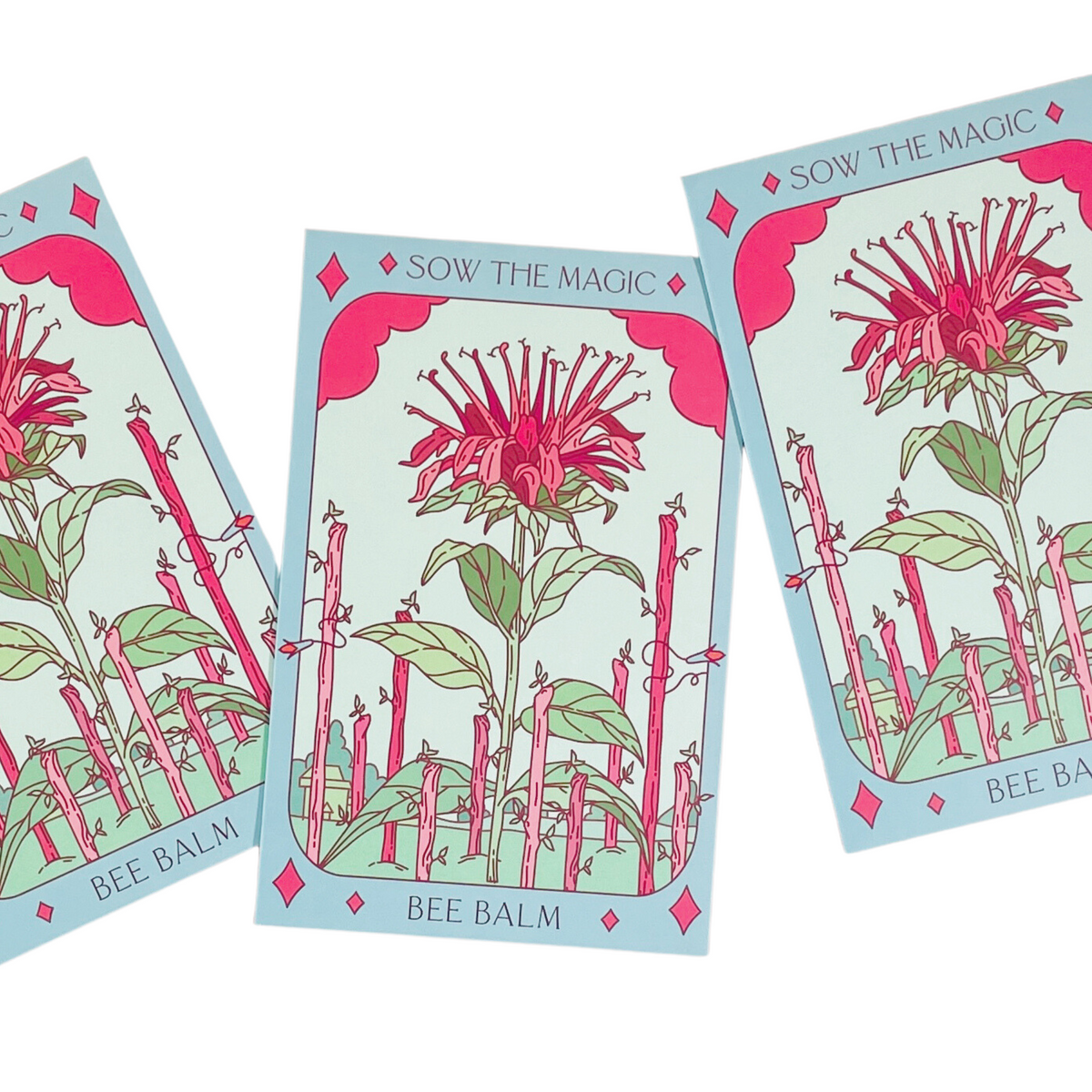 plant bee balm seeds Bee Balm Tarot Seed Packet