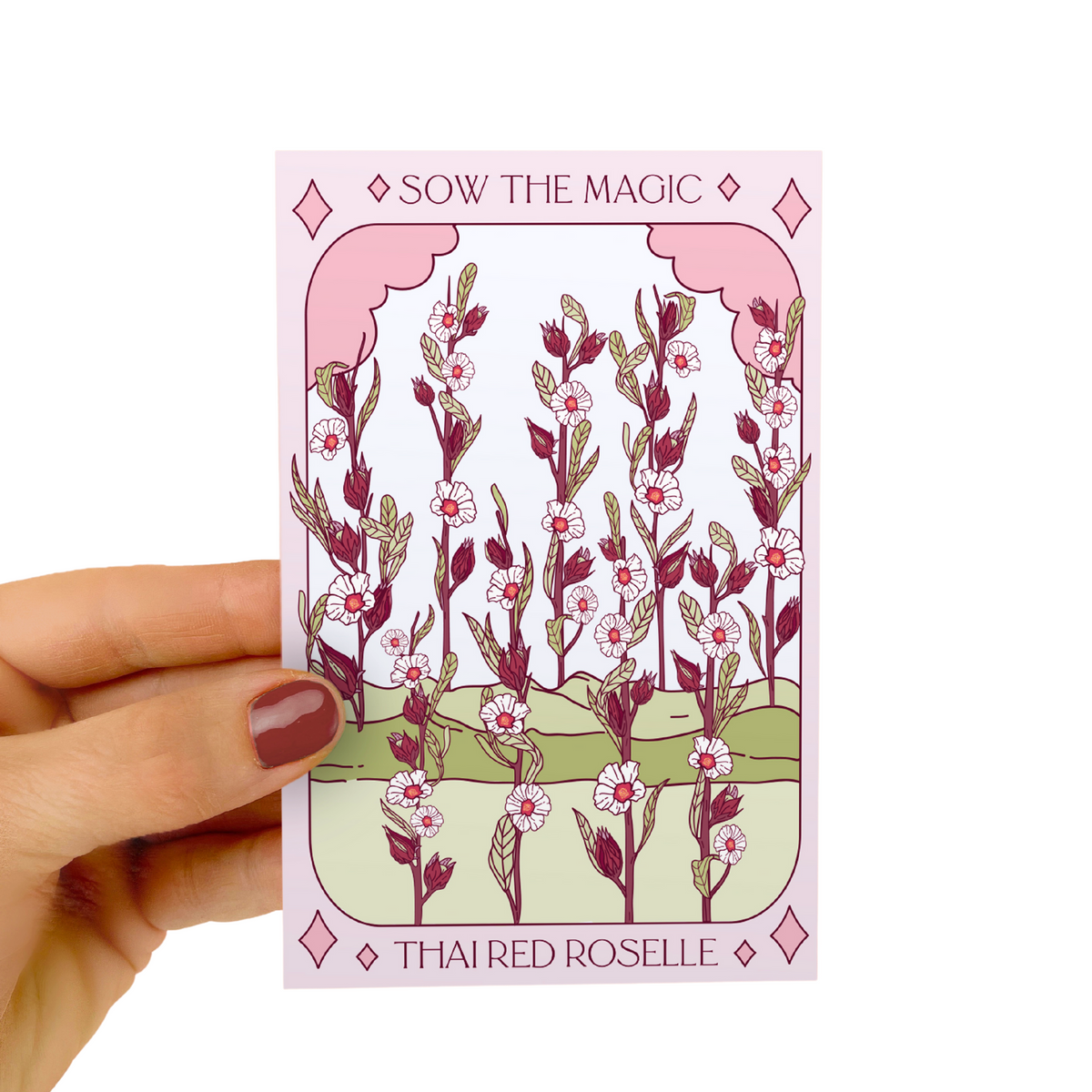 Rose★カモワンタロット Thai Red Roselle Hibiscus Tarot Seed Packet | Sow the Magic