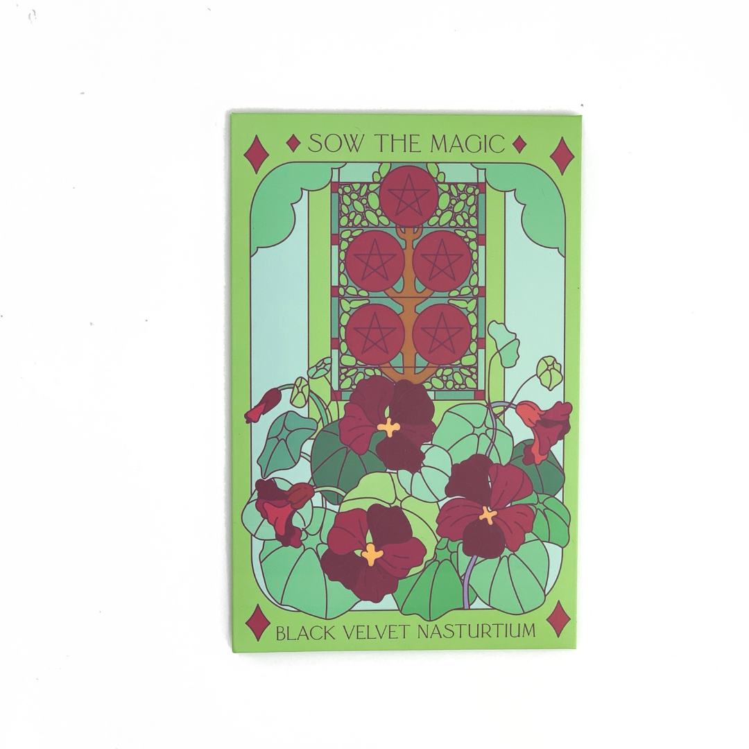 black velvet flower seeds Black Velvet Nasturtium Tarot Seed Packet