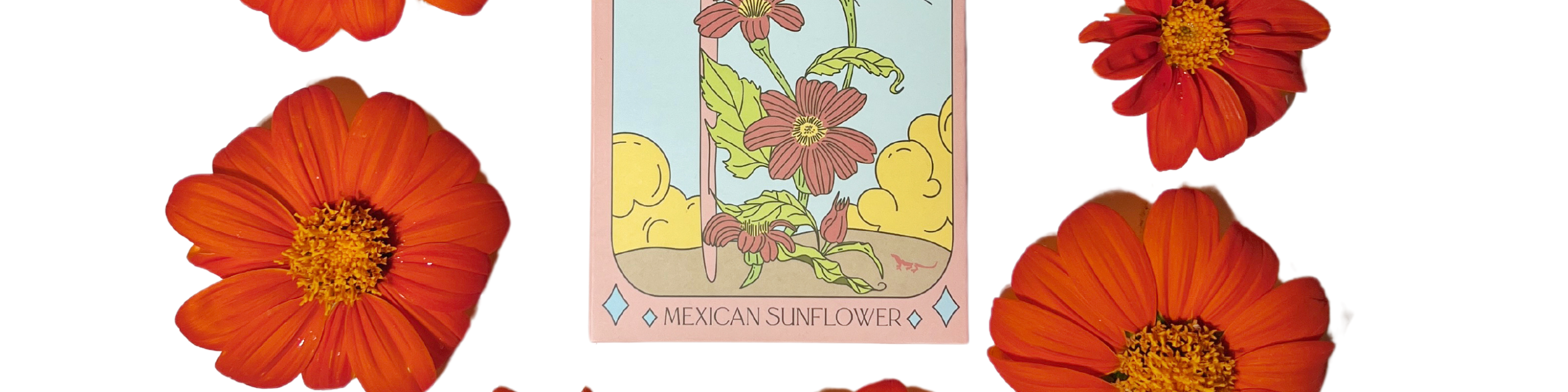 Tarot Seeds