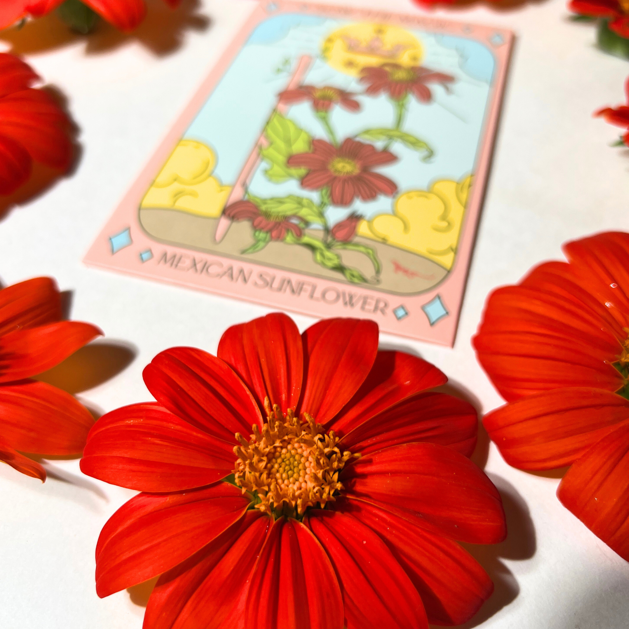 Mexican Sunflower Tarot Seed Packet