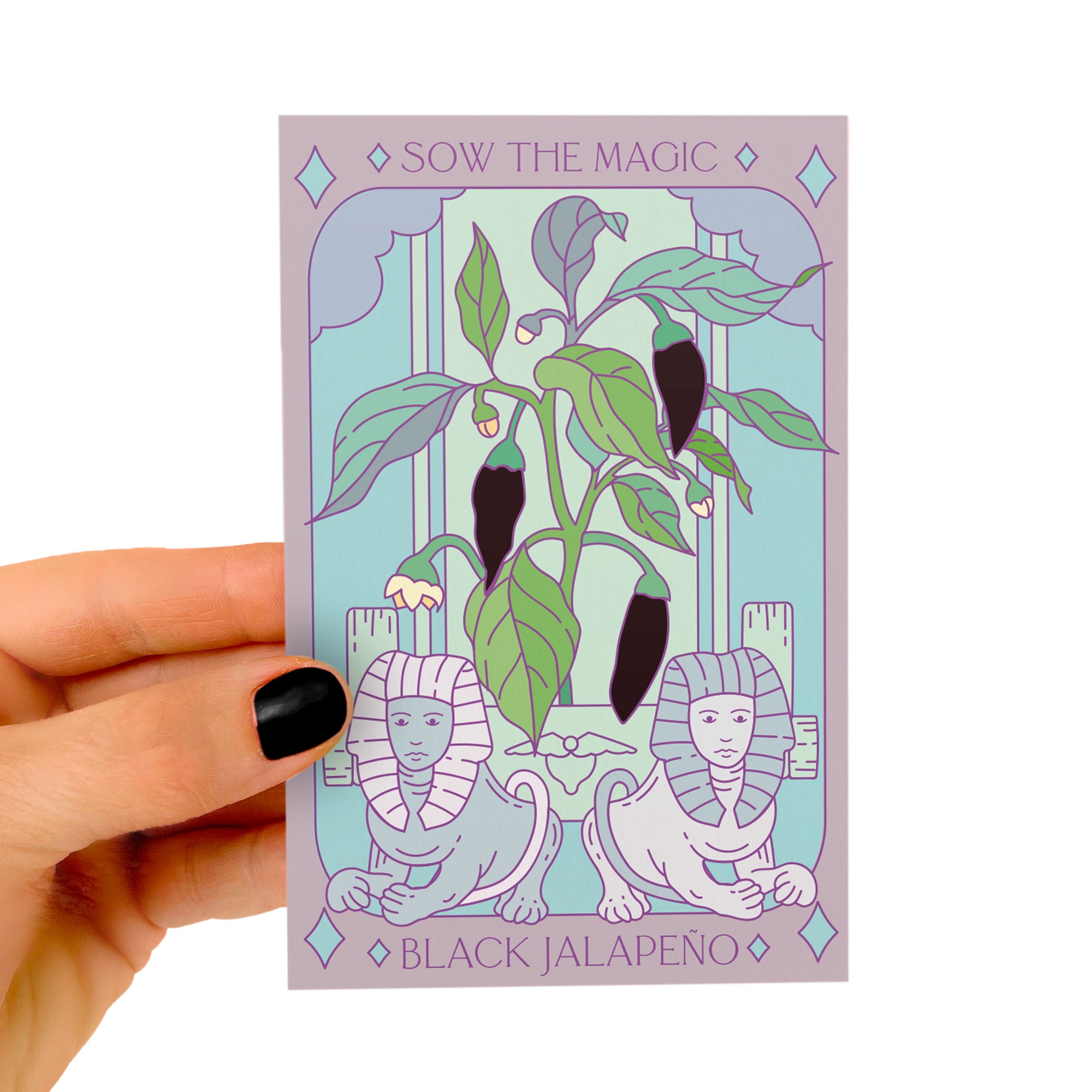 Black Hungarian Jalapeño Tarot Seed Packet | Sow the Magic