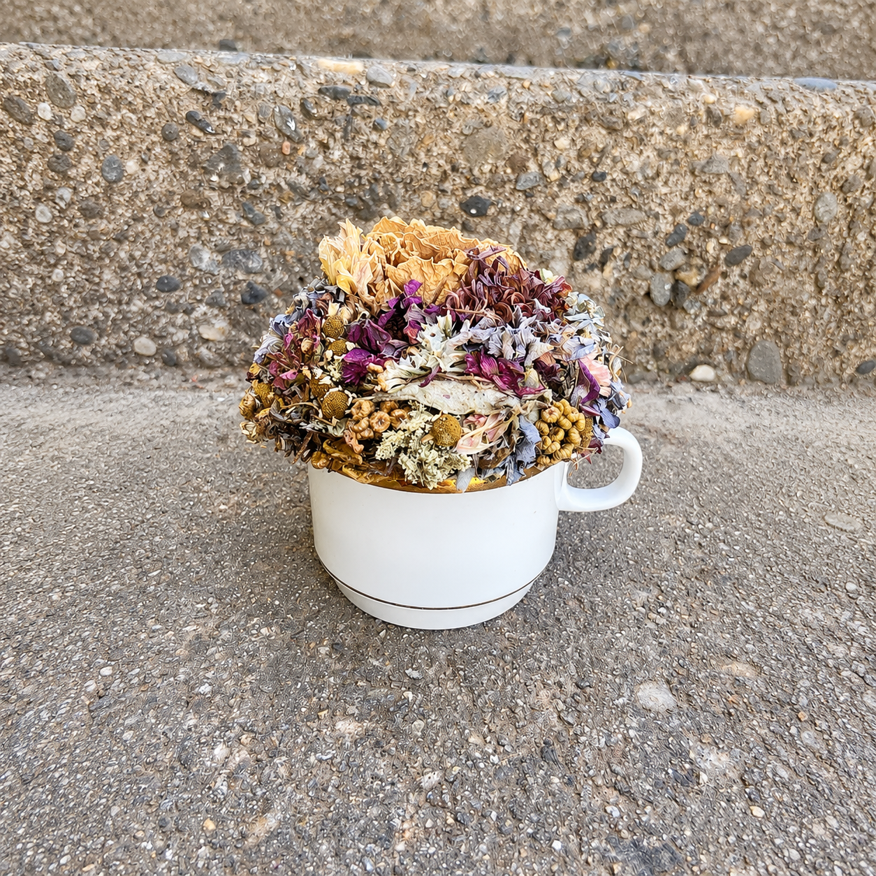 Blush, burgundy and cream dried flower teacup arrangement handmade with farm-gathered botanicals.