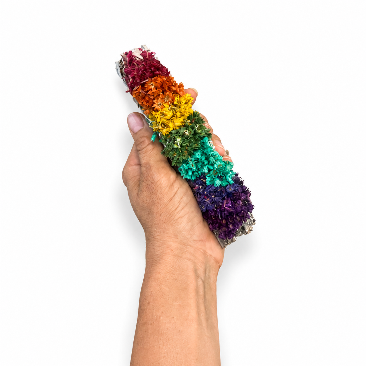 Hand holding a colorful chakra white sage smudge stick with dried sinuata flowers on a white background