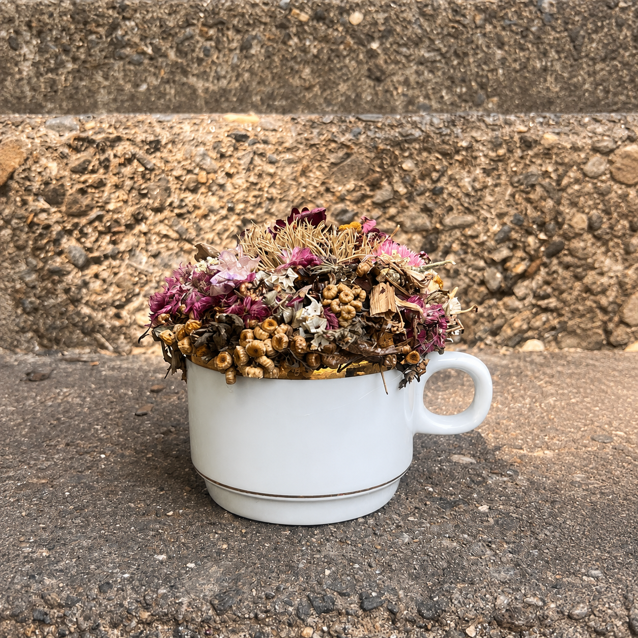 February birth flower dried flower arrangement handmade in a vintage white teacup with pink, burgundy and natural botanicals