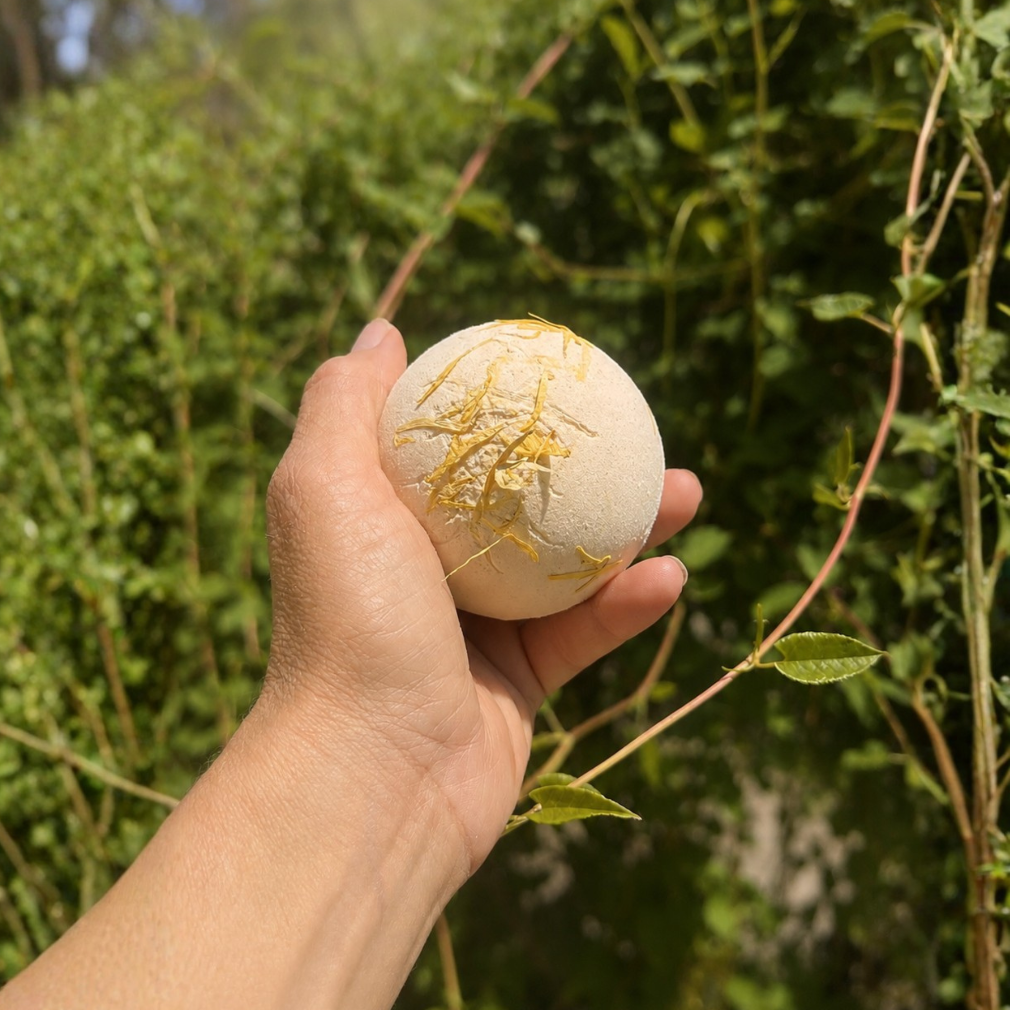 Hand holding a Golden Hour Golden Honey botanical bath bomb topped with calendula petals in a lush garden setting with soft natural lighting and blurred greenery.