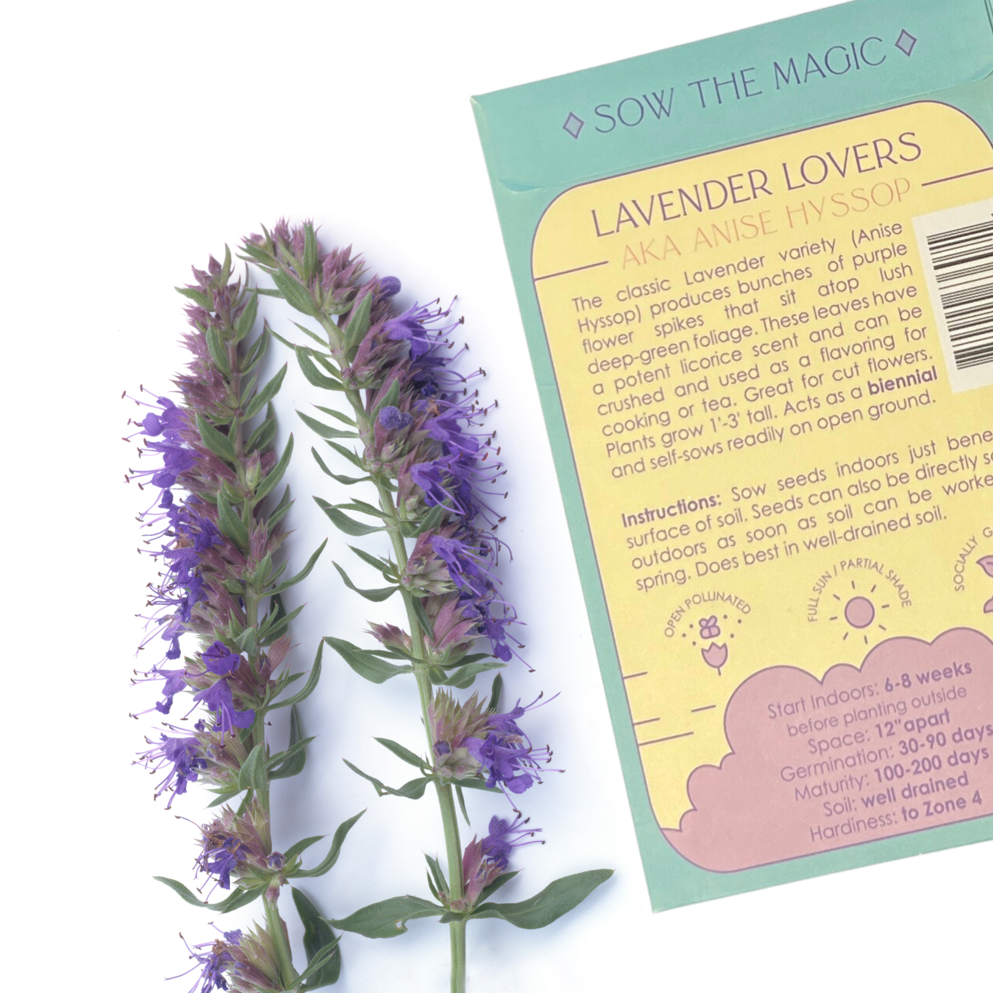 Lavender Hyssop Lovers Tarot Seed Packet - Thumbnail 4
