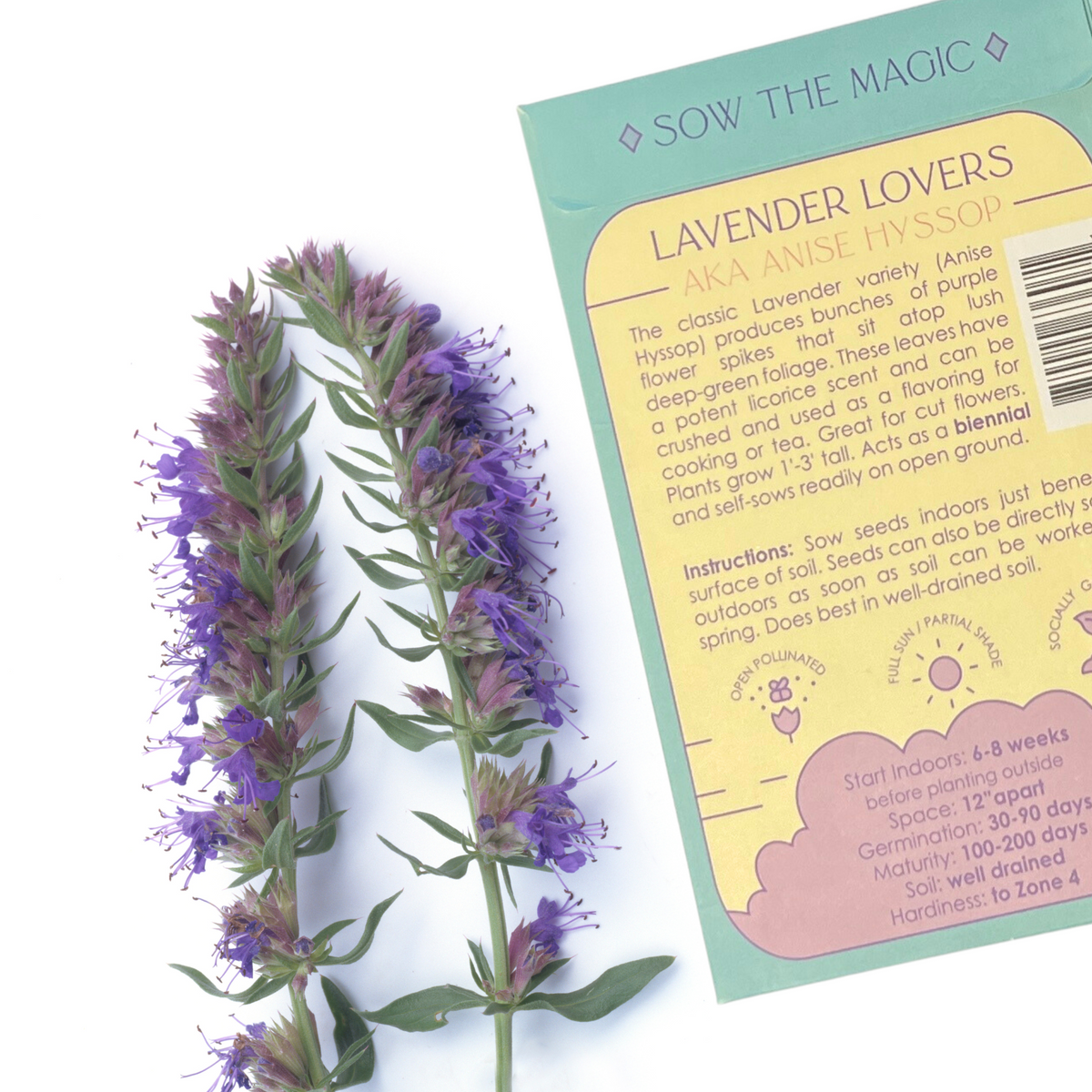lavender true seeds Lavender Hyssop Lovers Tarot Seed Packet