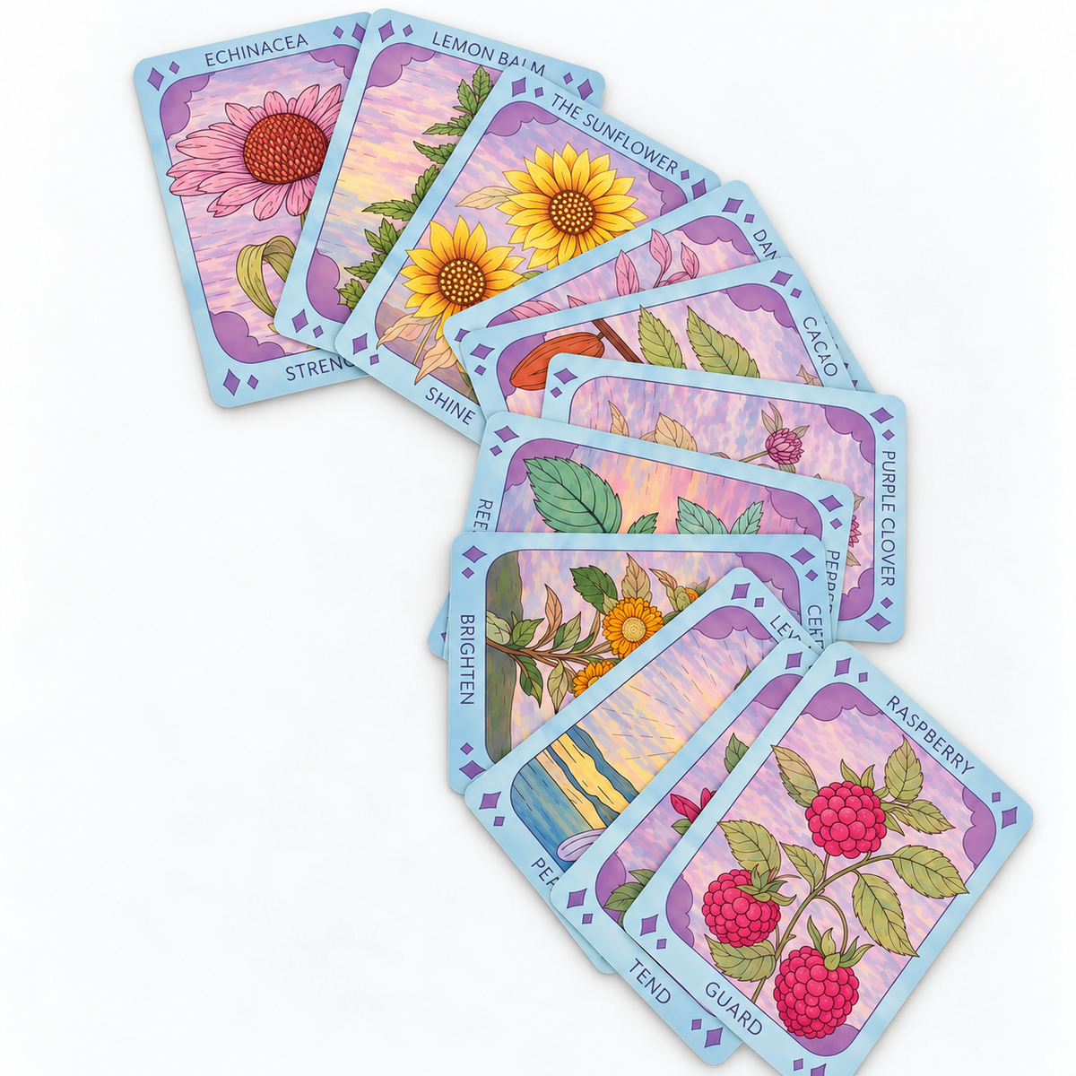 Sow the Magic Plant Guardians Oracle cards arranged in a fan, featuring colorful botanical illustrations of echinacea, sunflower, lemon balm, raspberry, and other plants.