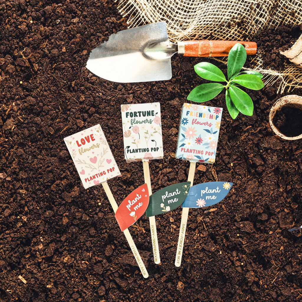 Fortune Flowers Garden + Gift Seed Planting Pop