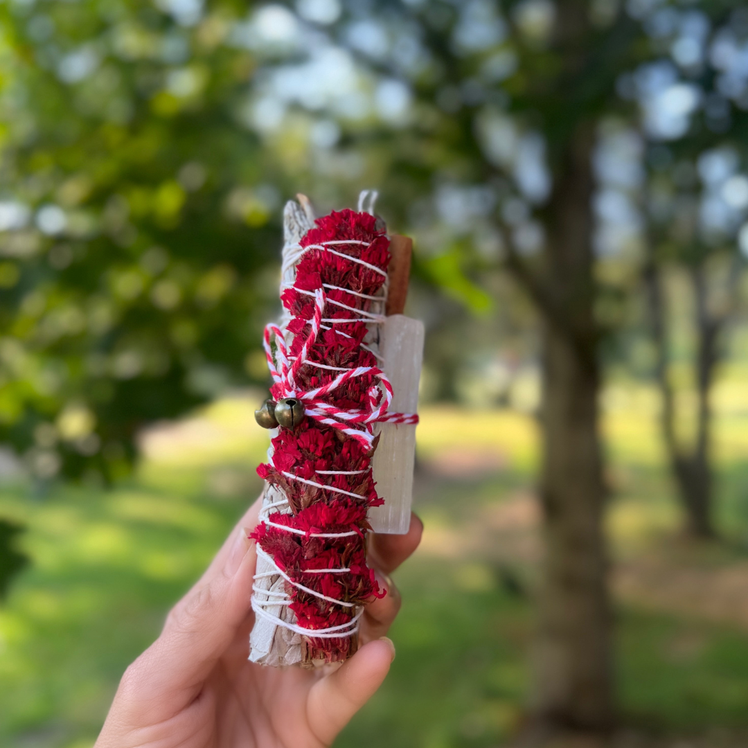Holiday Spirits Red Sinuata + White Sage Energy Clearing Smudge Protection Bundle
