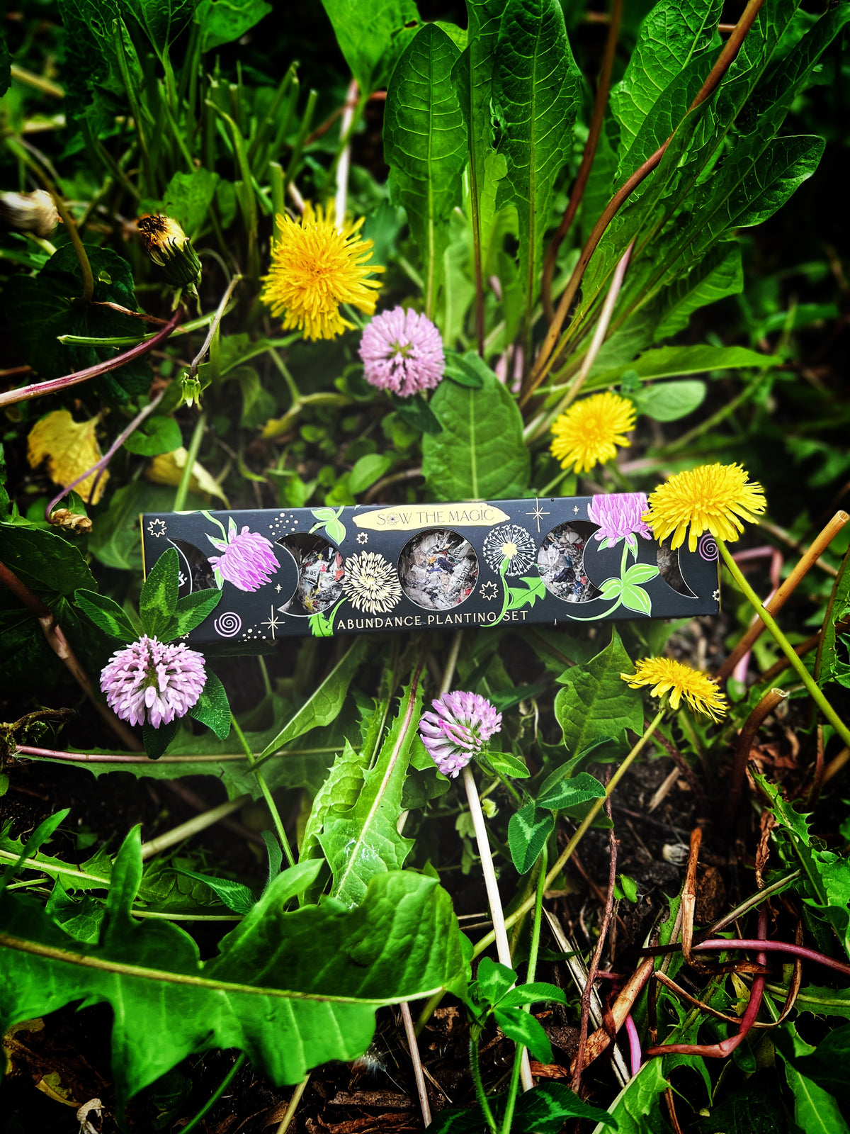 Sow the Magic Abundance Planting Set seed strip nestled among real clover and dandelions