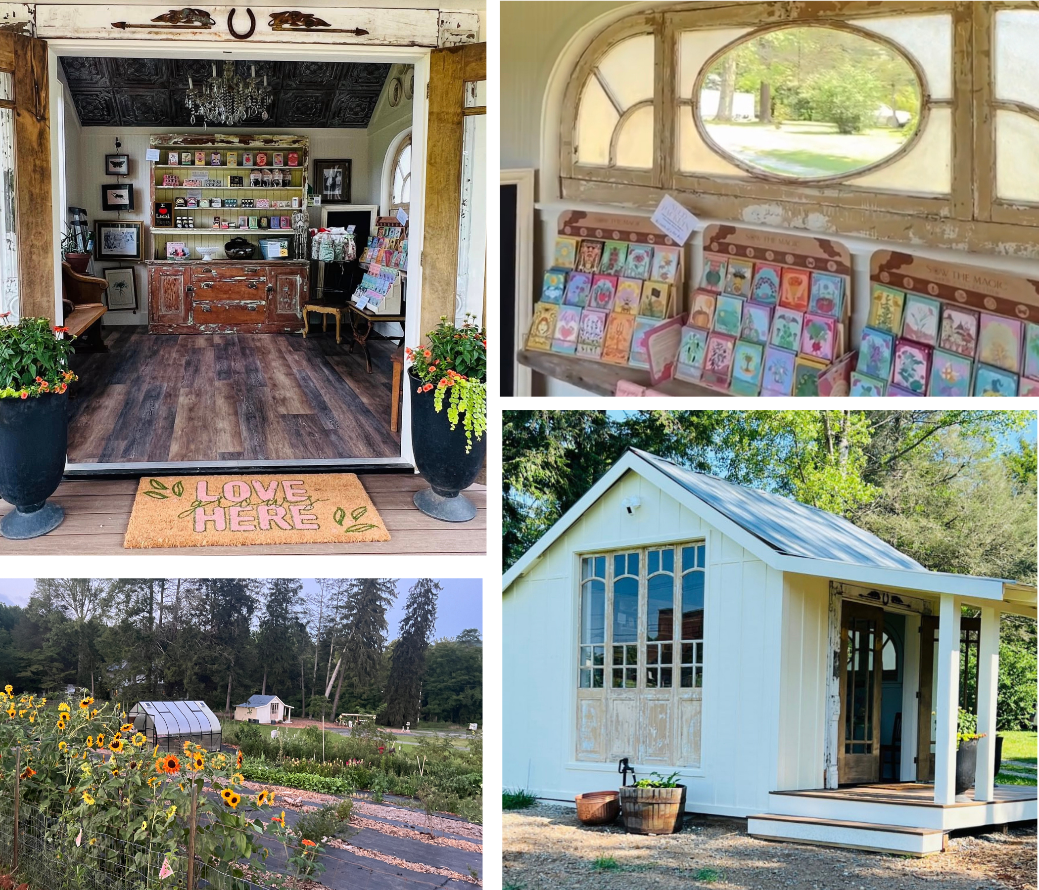 Sow the Magic farmstand in Fairview, NC — shop interior, seed packet display, garden with sunflowers, and white cottage exterior