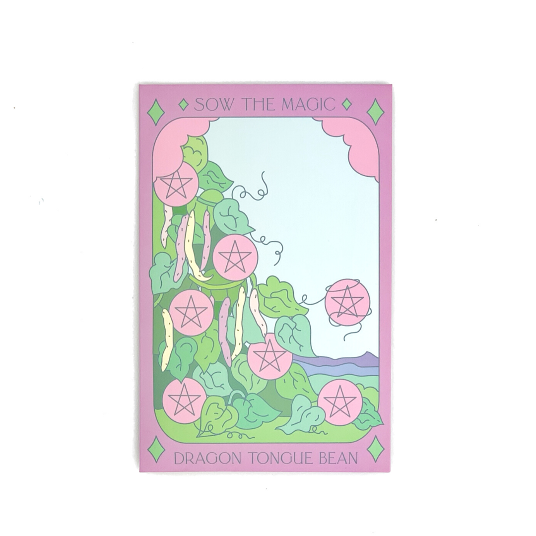 Dragon Tongue Bush Bean Tarot Seed Packet - Thumbnail 2