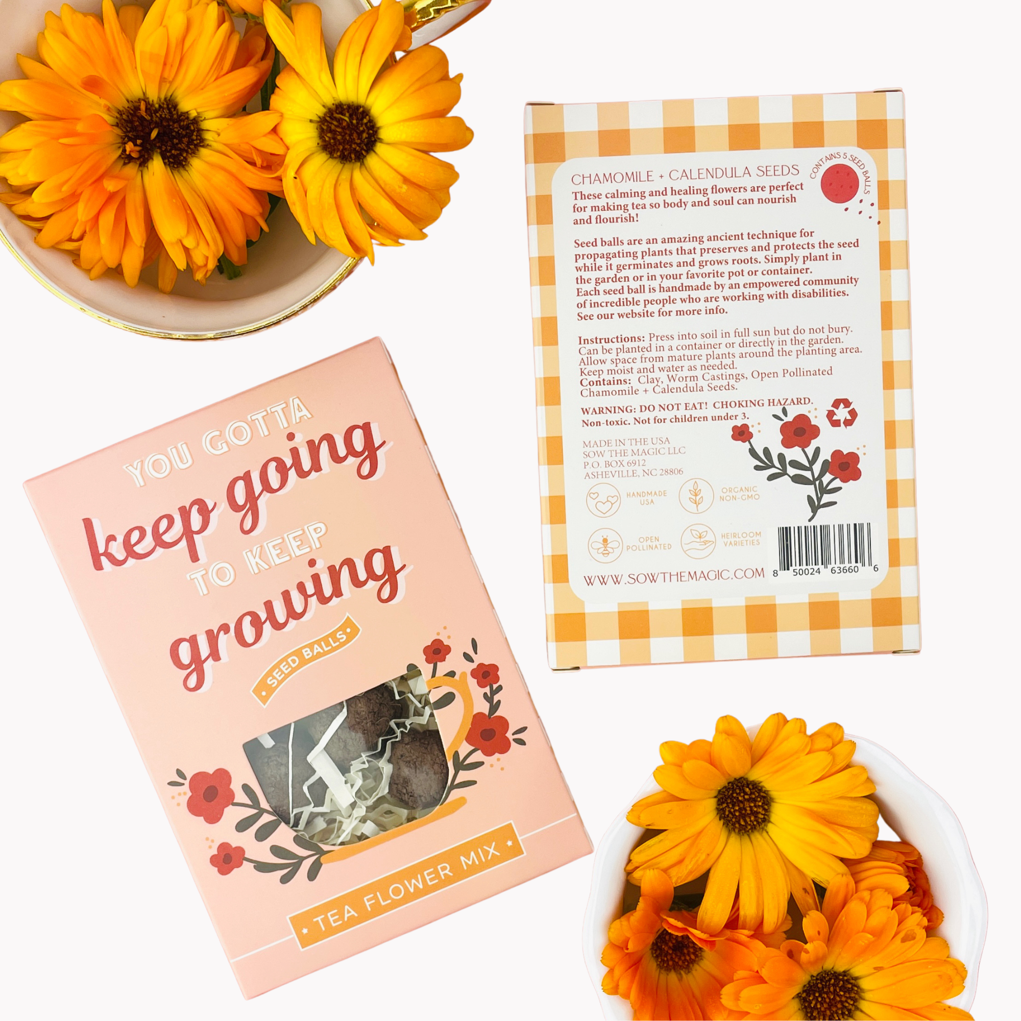 seed ball planting instructions You Gotta Keep Going To Keep Growing Seed Ball Gift Box