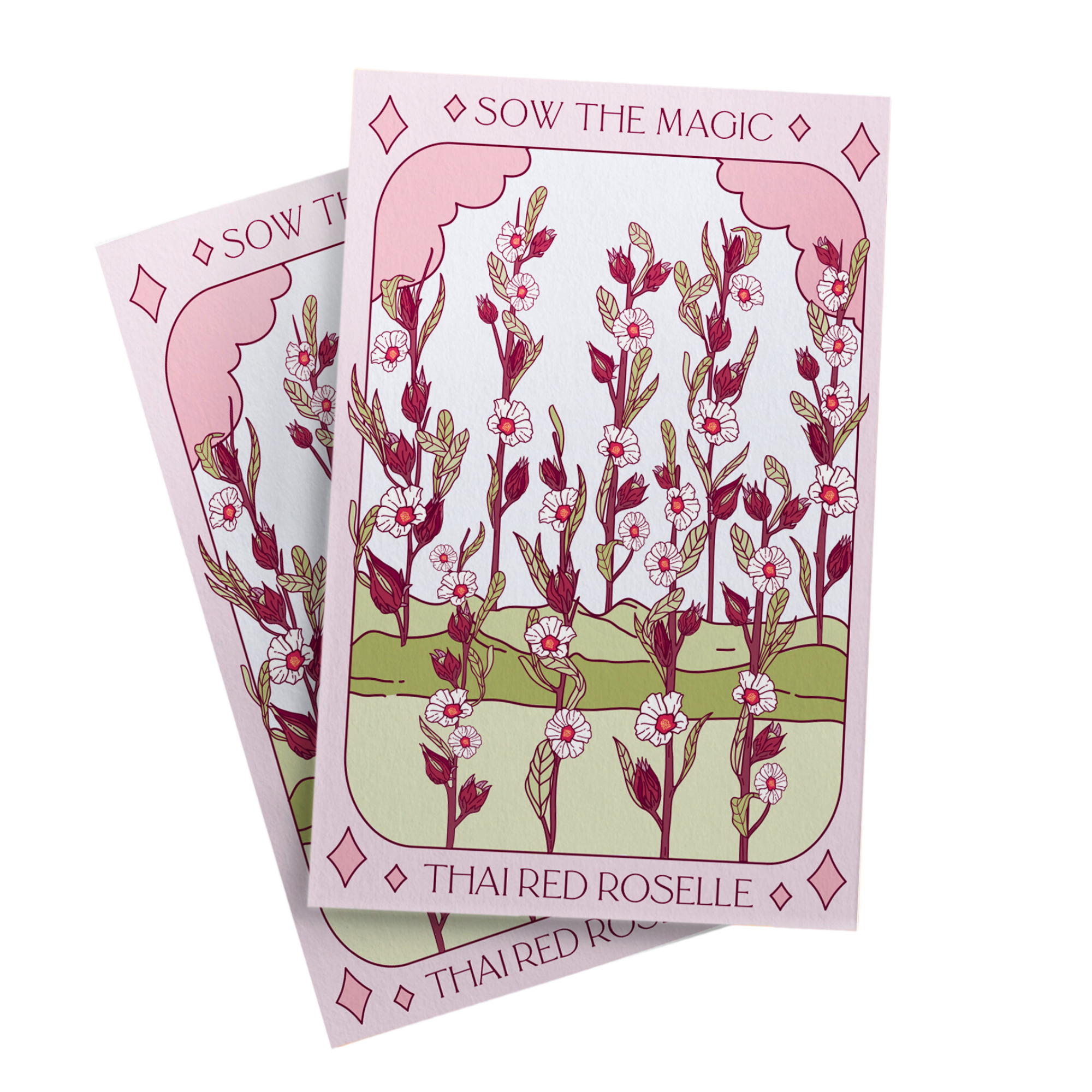 Thai Red Roselle Hibiscus Tarot Seed Packet - Thumbnail 5