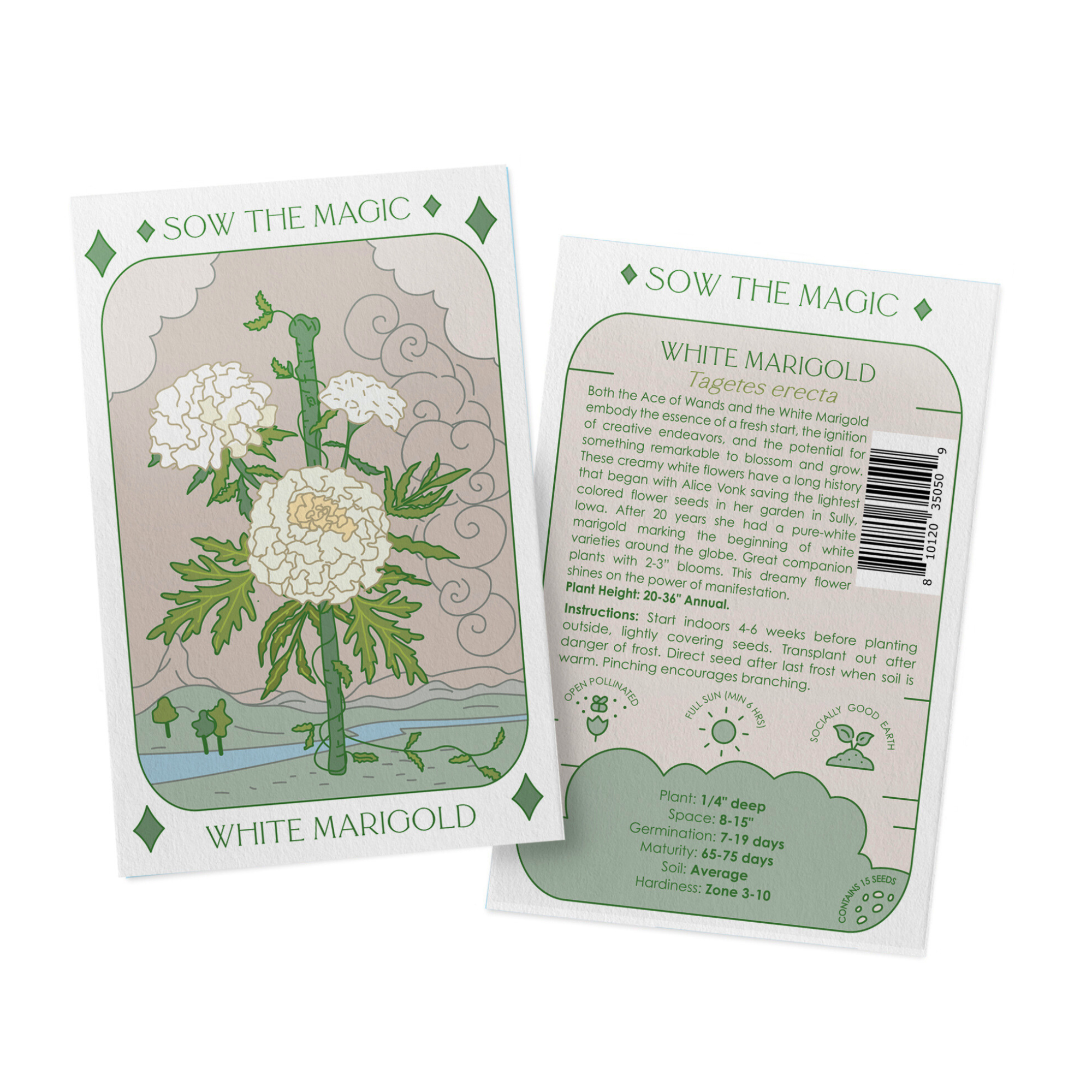 marigold seed instructions White Marigold Tarot Seed Packet