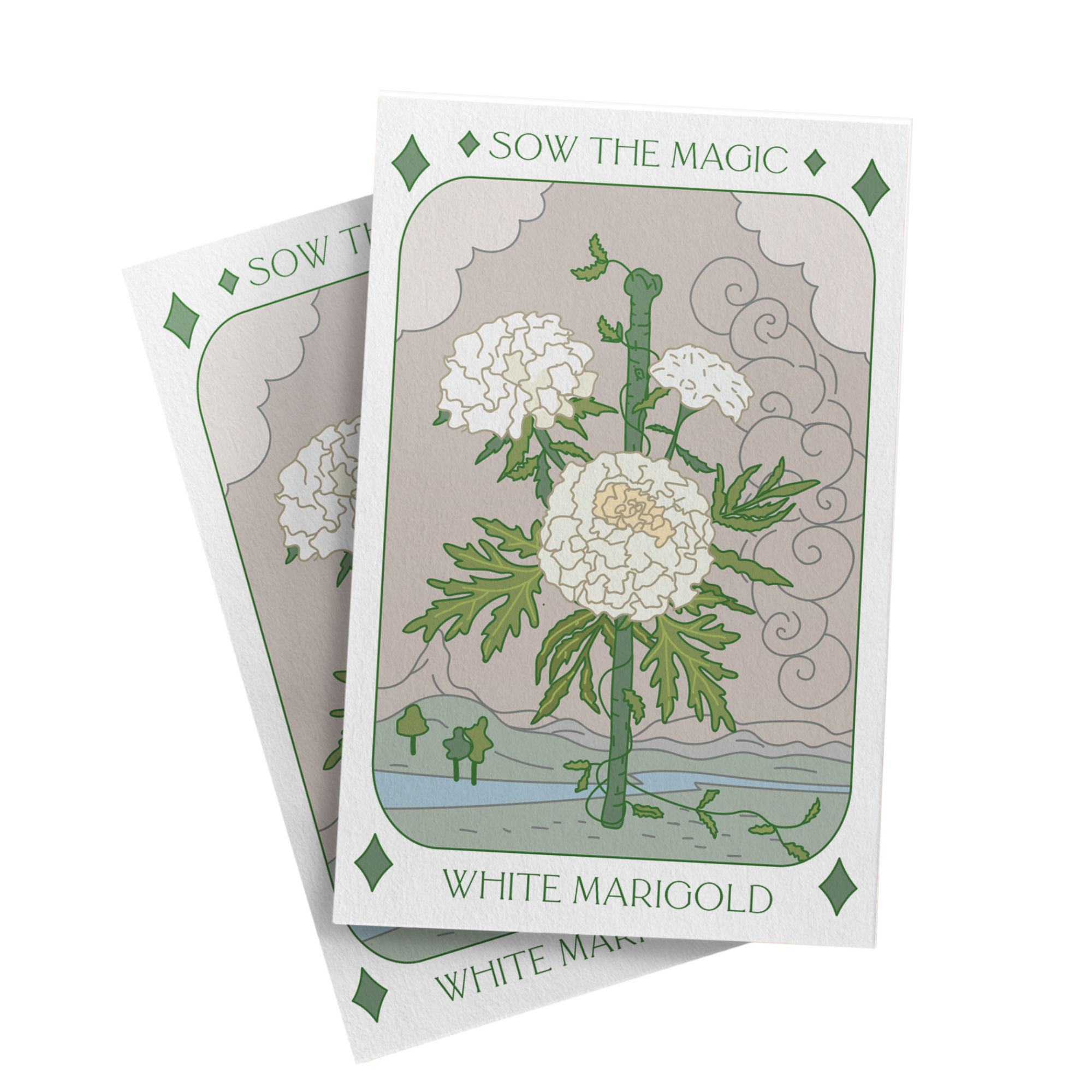 white marigolds seeds White Marigold Tarot Seed Packet