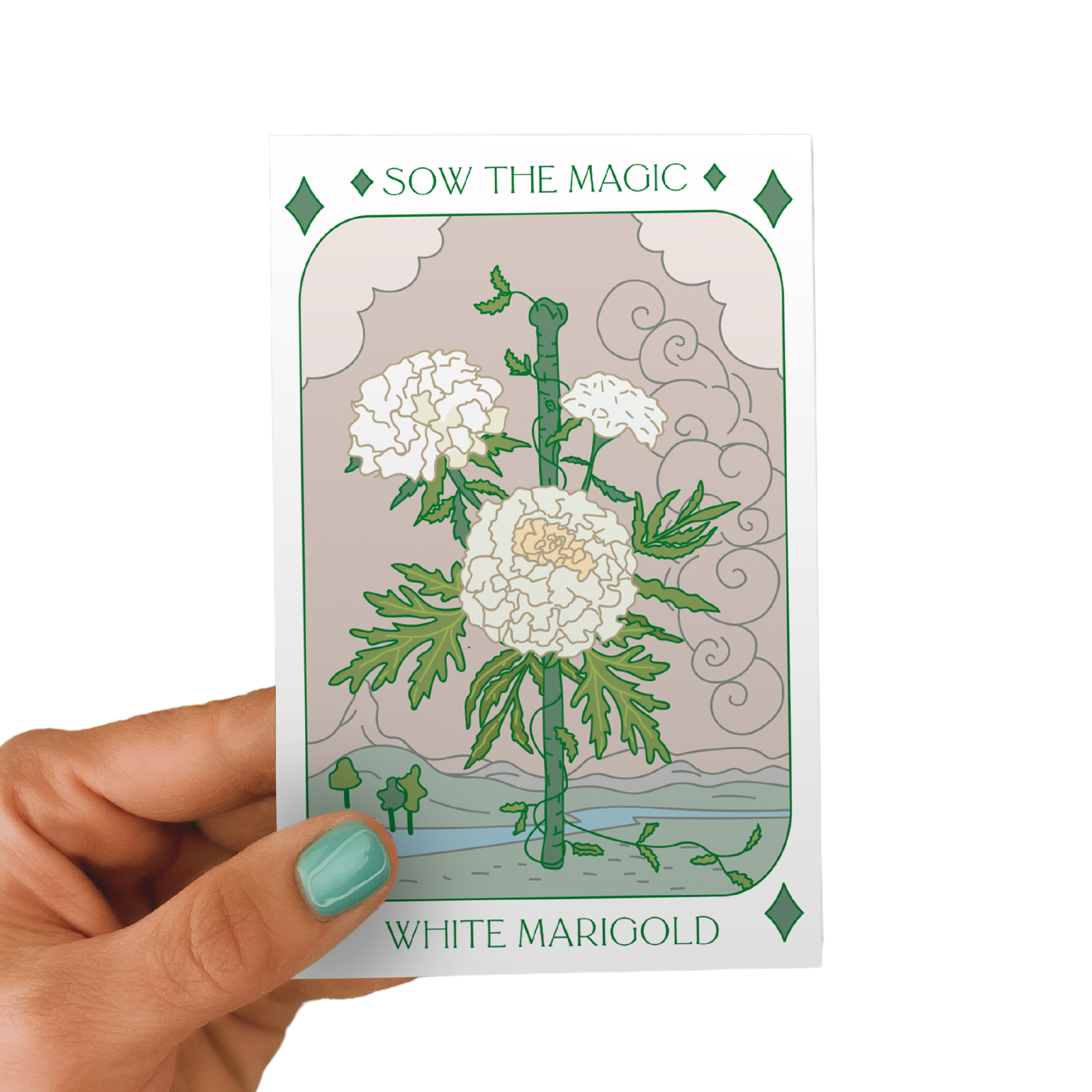 white marigold seed White Marigold Tarot Seed Packet