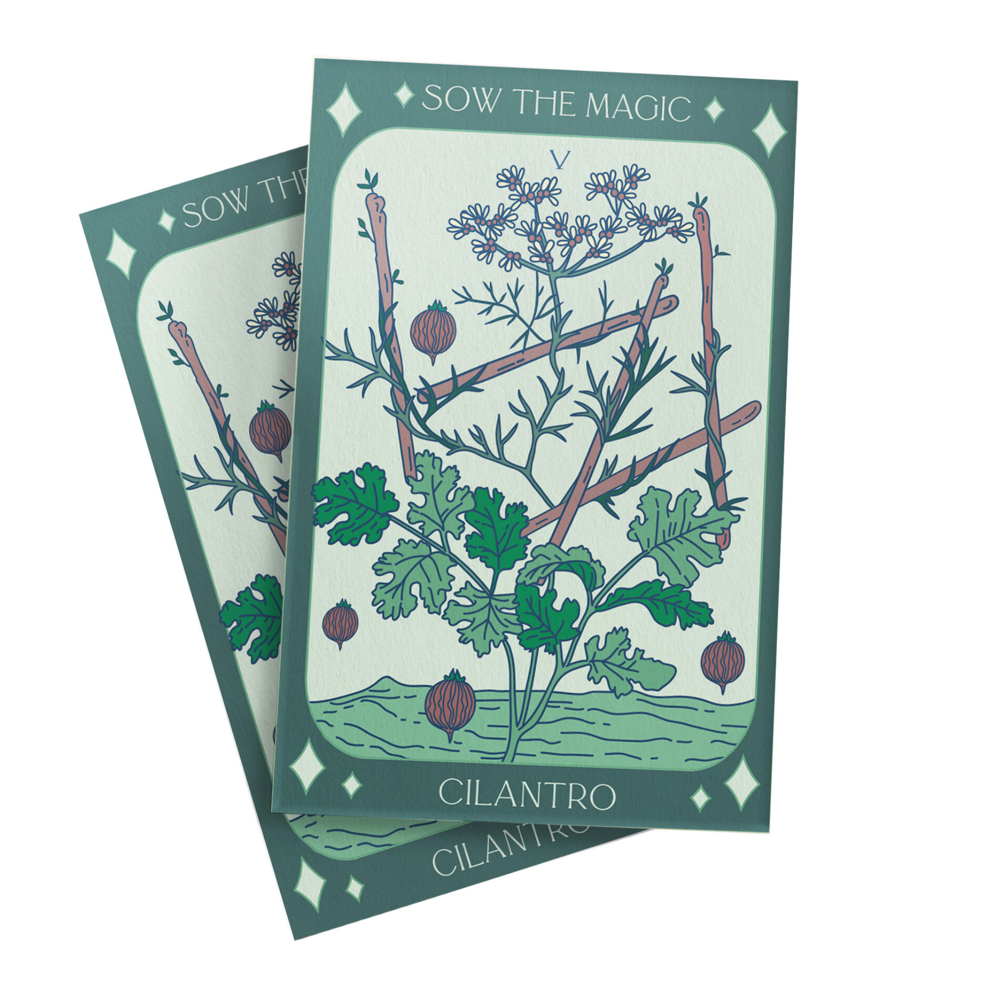 Cilantro Coriander Tarot Seed Packet - Thumbnail 2