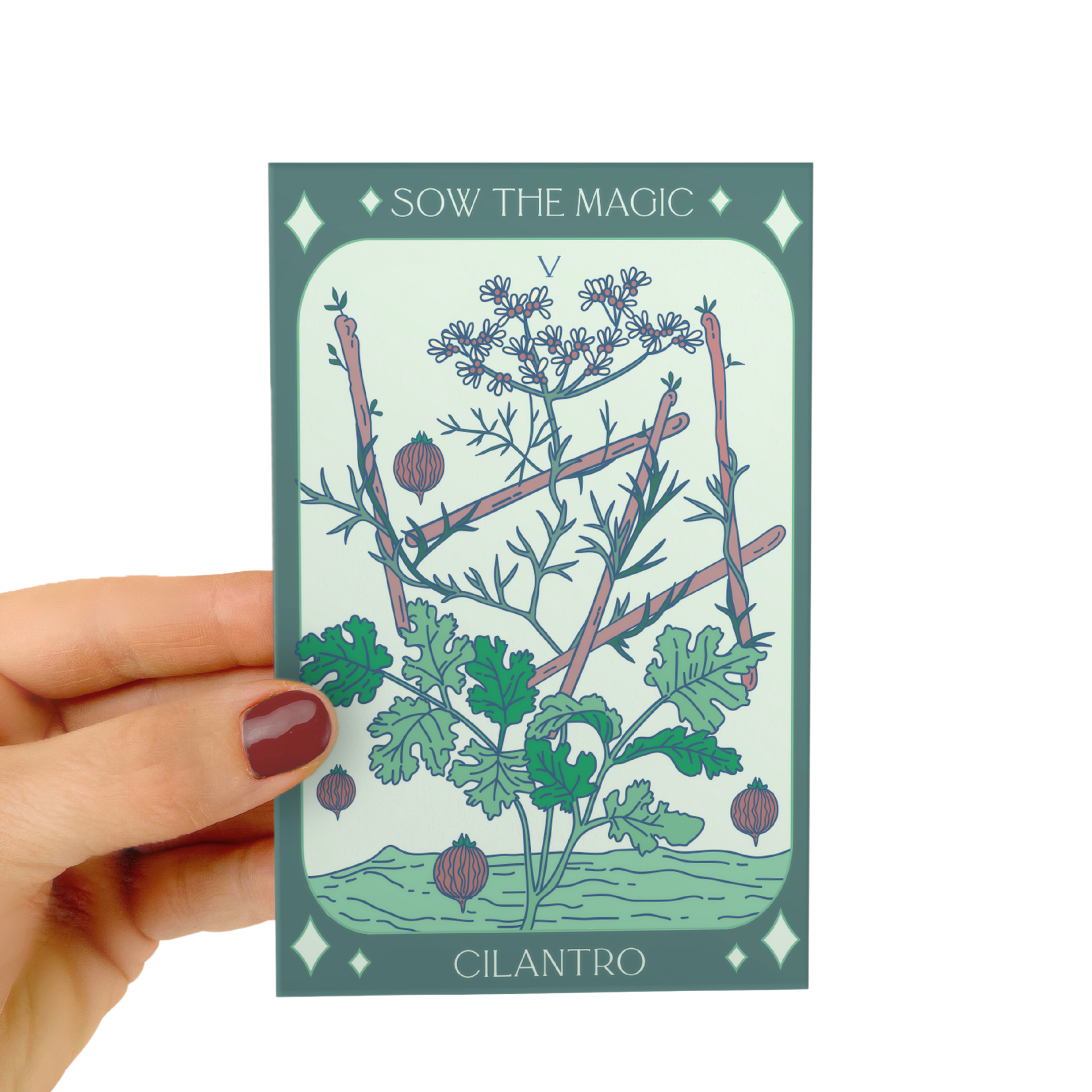 Cilantro Coriander Tarot Seed Packet - Thumbnail 4