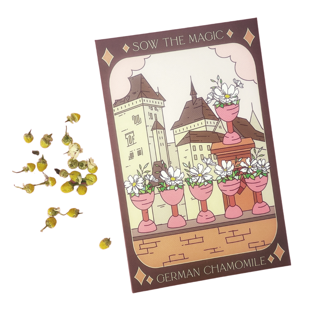 German Chamomile Tarot Seed Packet