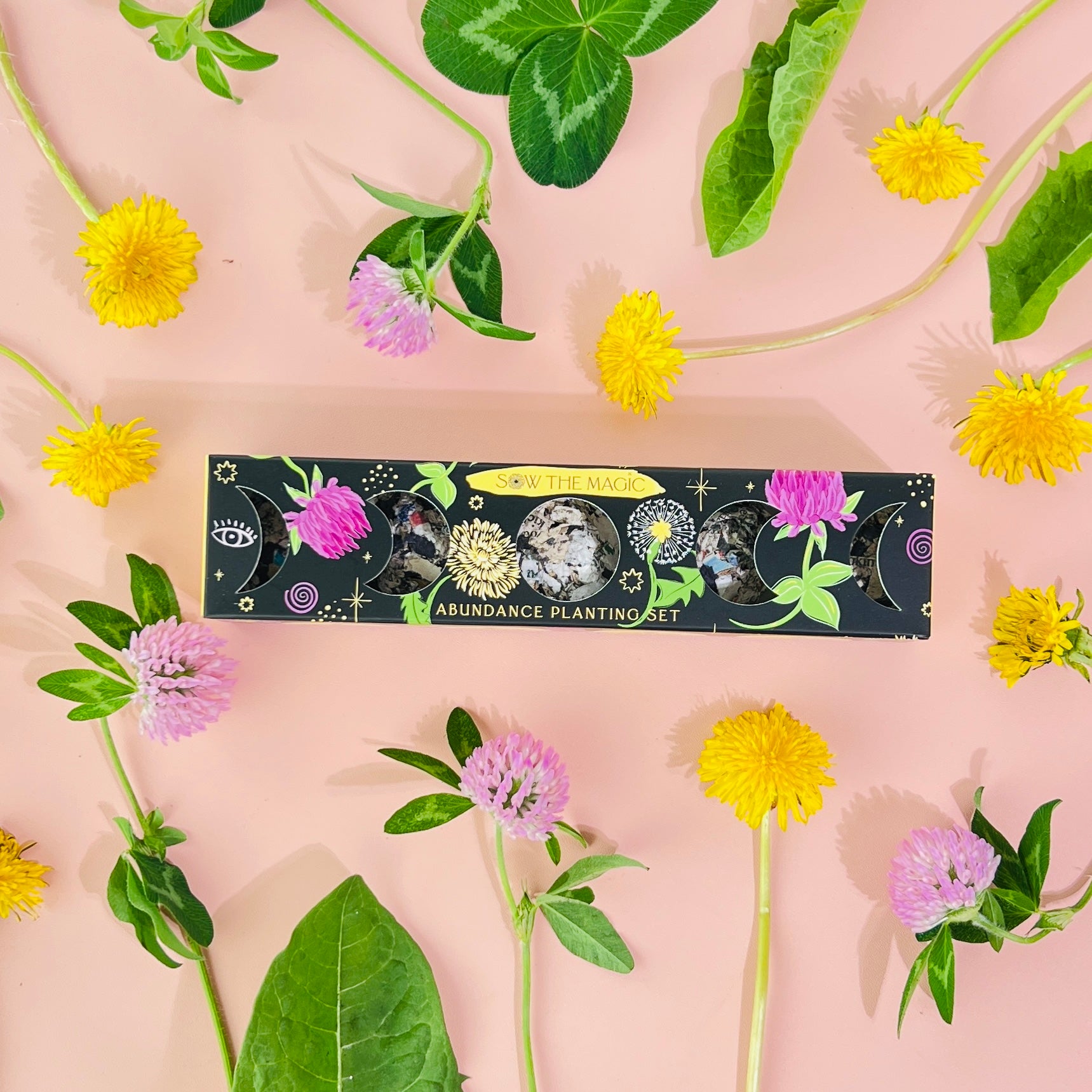 Abundance Seed Ball Planting Set surrounded by dandelions, red clover and botanical leaves