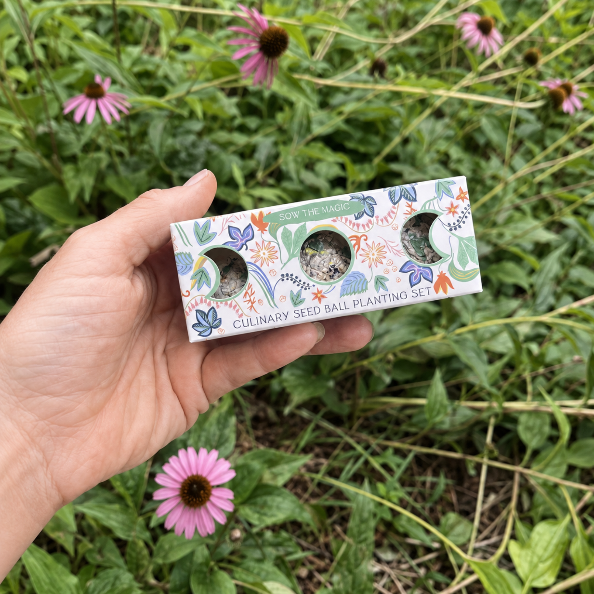 Culinary seed ball planting set held in a garden with pink coneflowers and green foliage