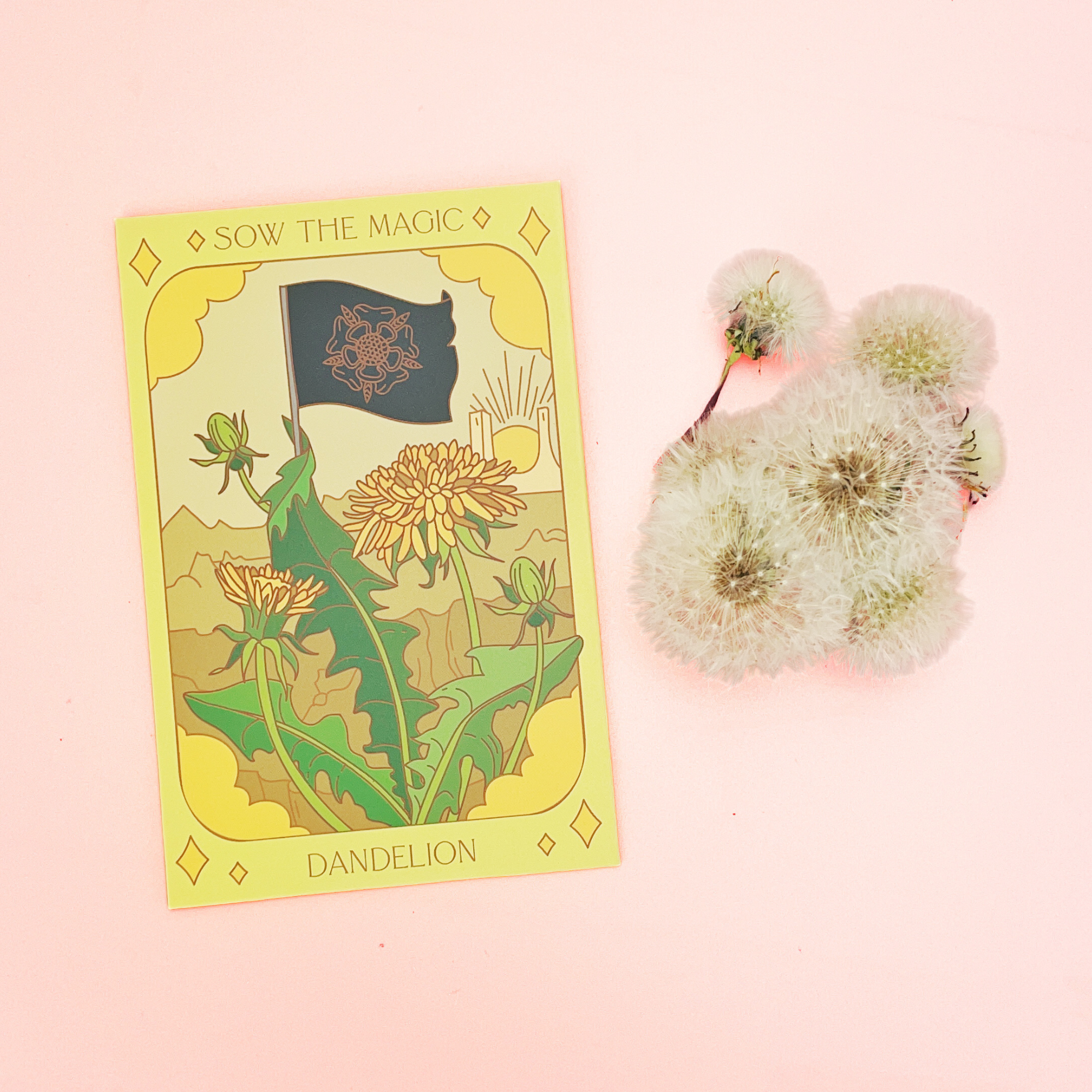 Sow the Magic dandelion seed packet displayed with fluffy dandelion seed heads on a pink background, ideal for pollinator-friendly gardens.