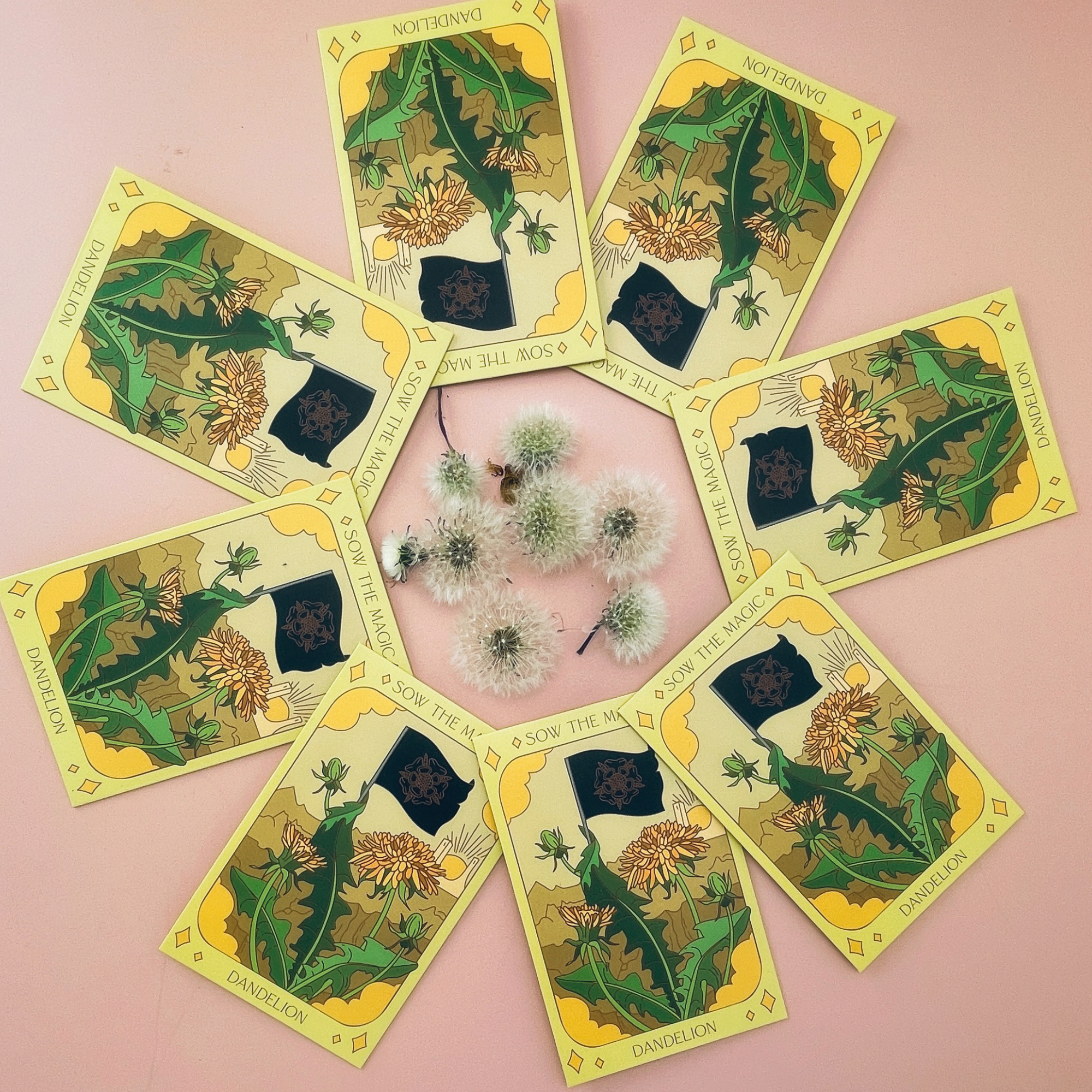 Multiple Sow the Magic dandelion seed packets arranged in a circle with white seed heads, showcasing heirloom garden seeds for planting.