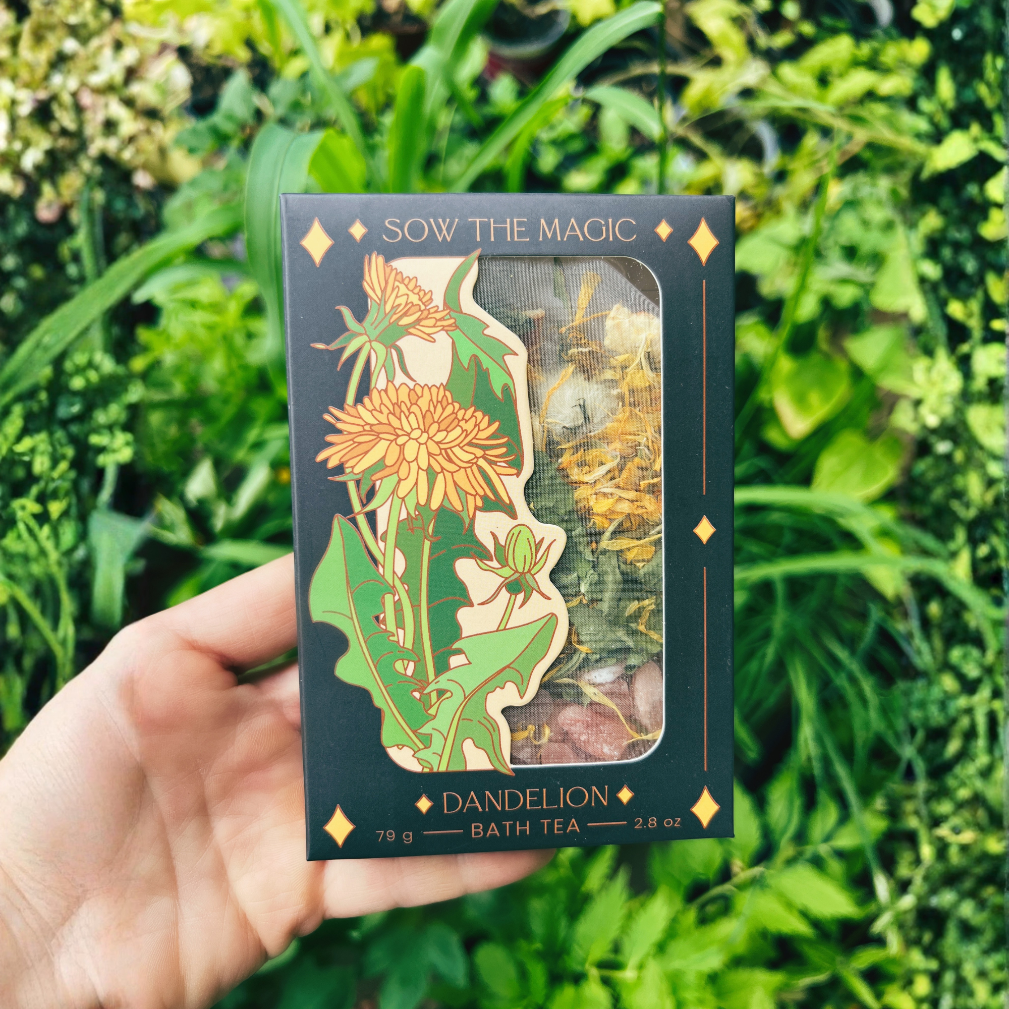 Dandelion Tarot Botanical Bath Tea Box held in hand with garden greenery in the background, showing natural herbal tea blend inside.