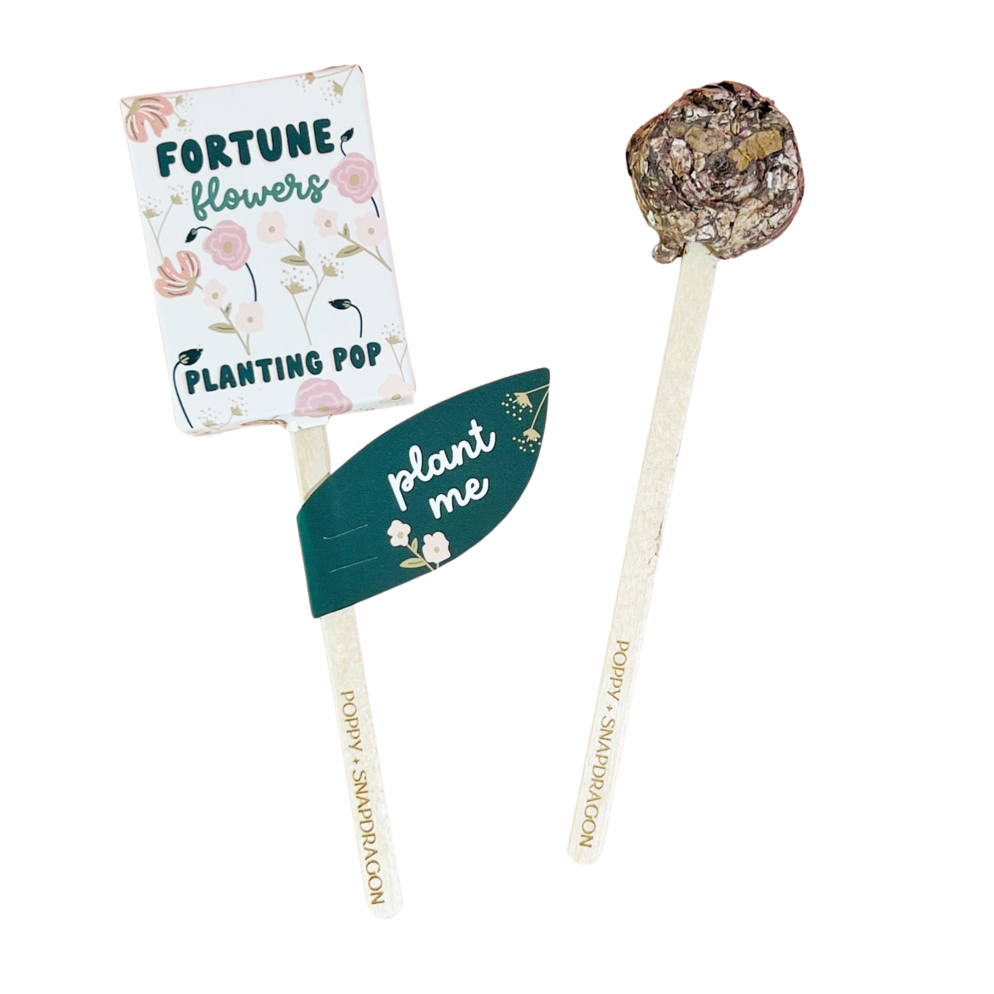Two Fortune Flowers seed planting pops with Poppy and Snapdragon label and plant me tag
