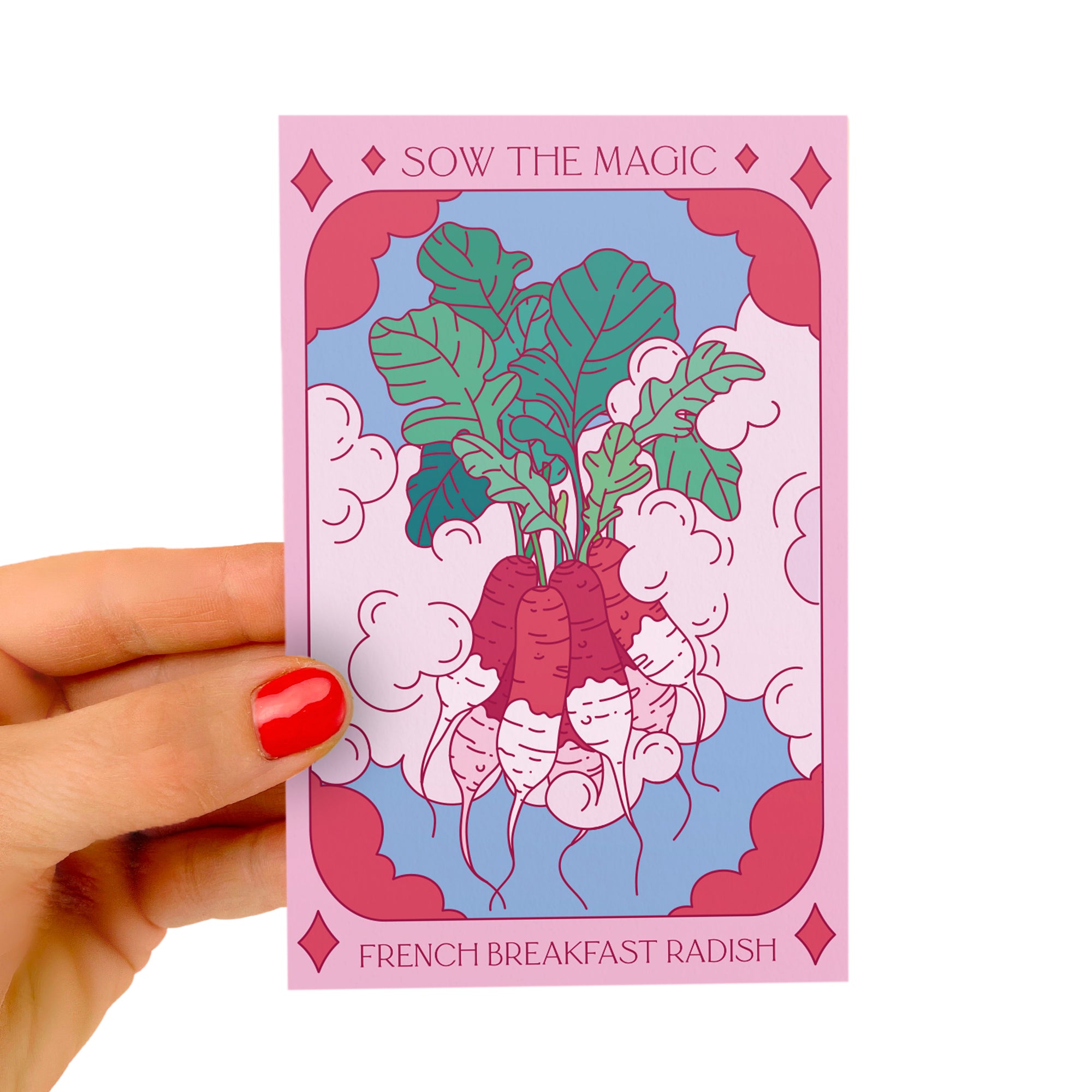 French Breakfast Radish Tarot Seed Packet - Thumbnail 2