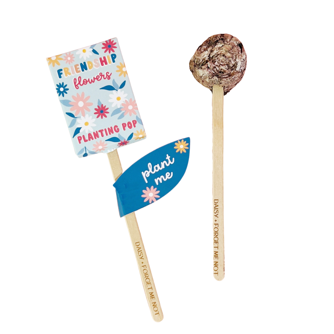 Two Friendship Flowers planting pops with blue floral packaging and plant me tag