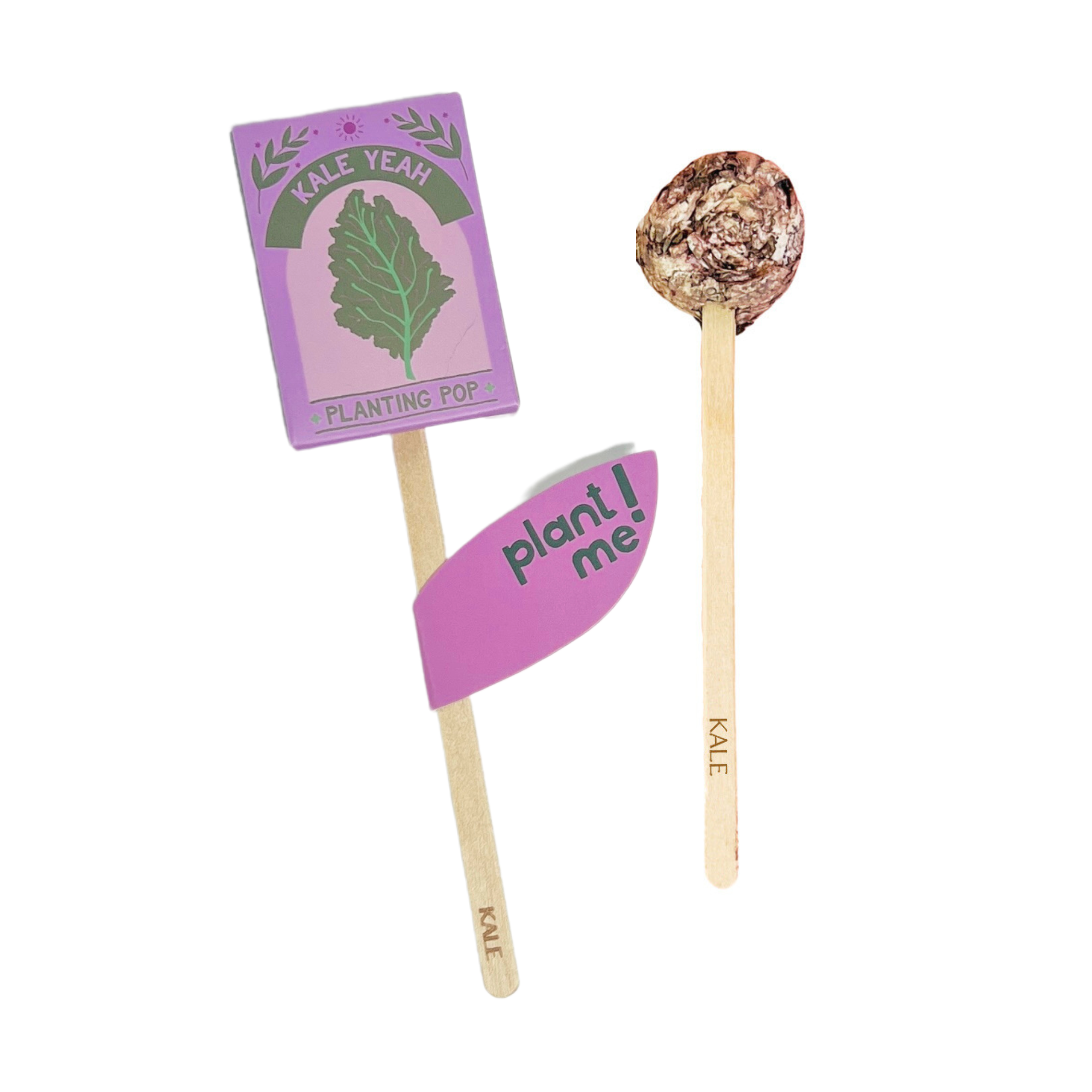 Two Kale Yeah planting pops with seed ball and purple eco-friendly packaging