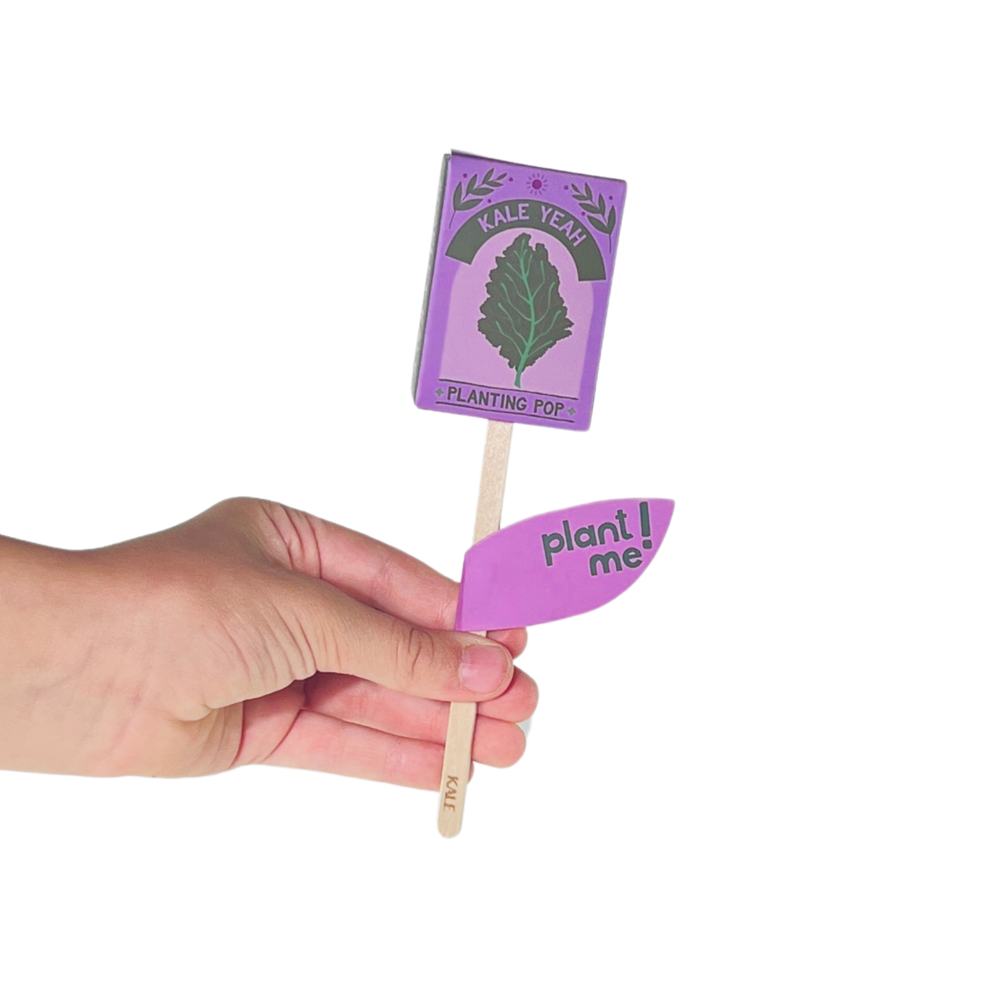Hand holding purple Kale Yeah garden gift planting pop with eco stick and plant me tag