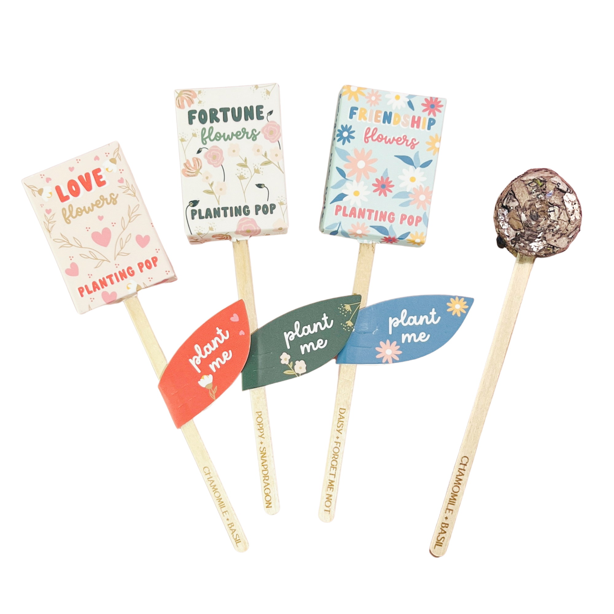 Trio of Love Fortune and Friendship seed planting pops with colorful eco-friendly packaging