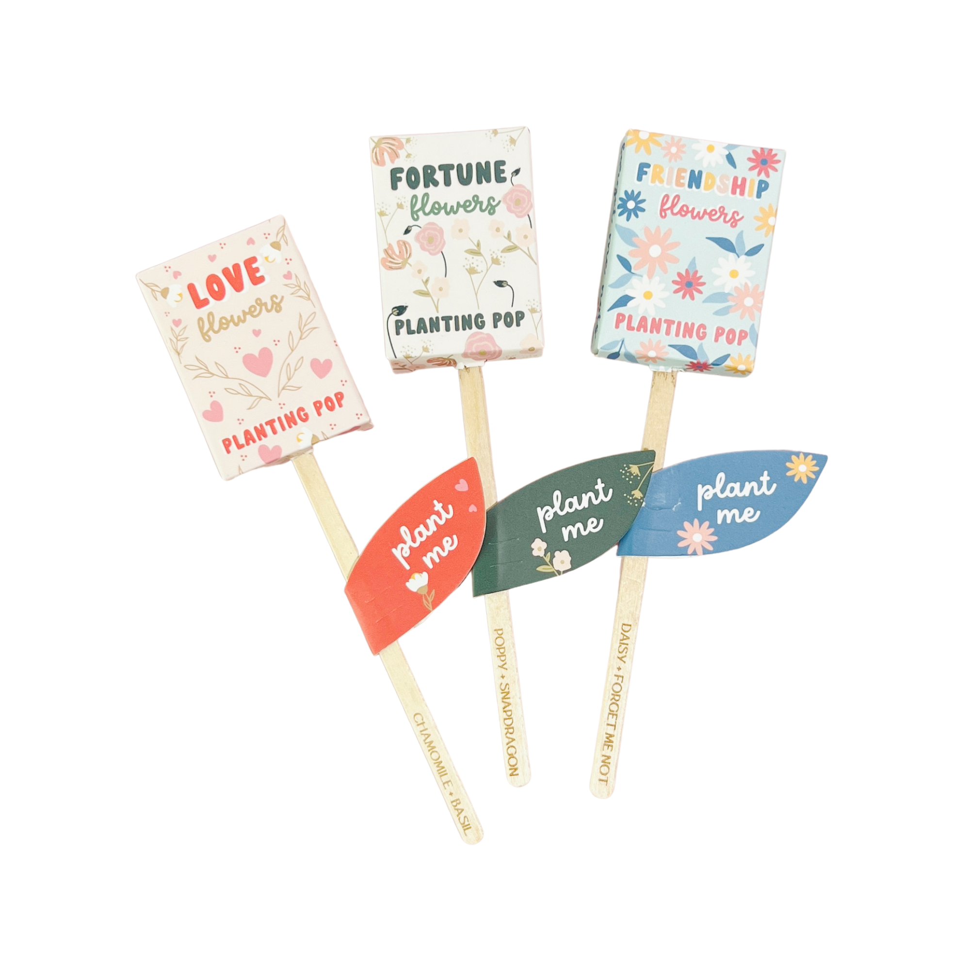 Love Fortune and Friendship Flower seed planting pops shown together on white background