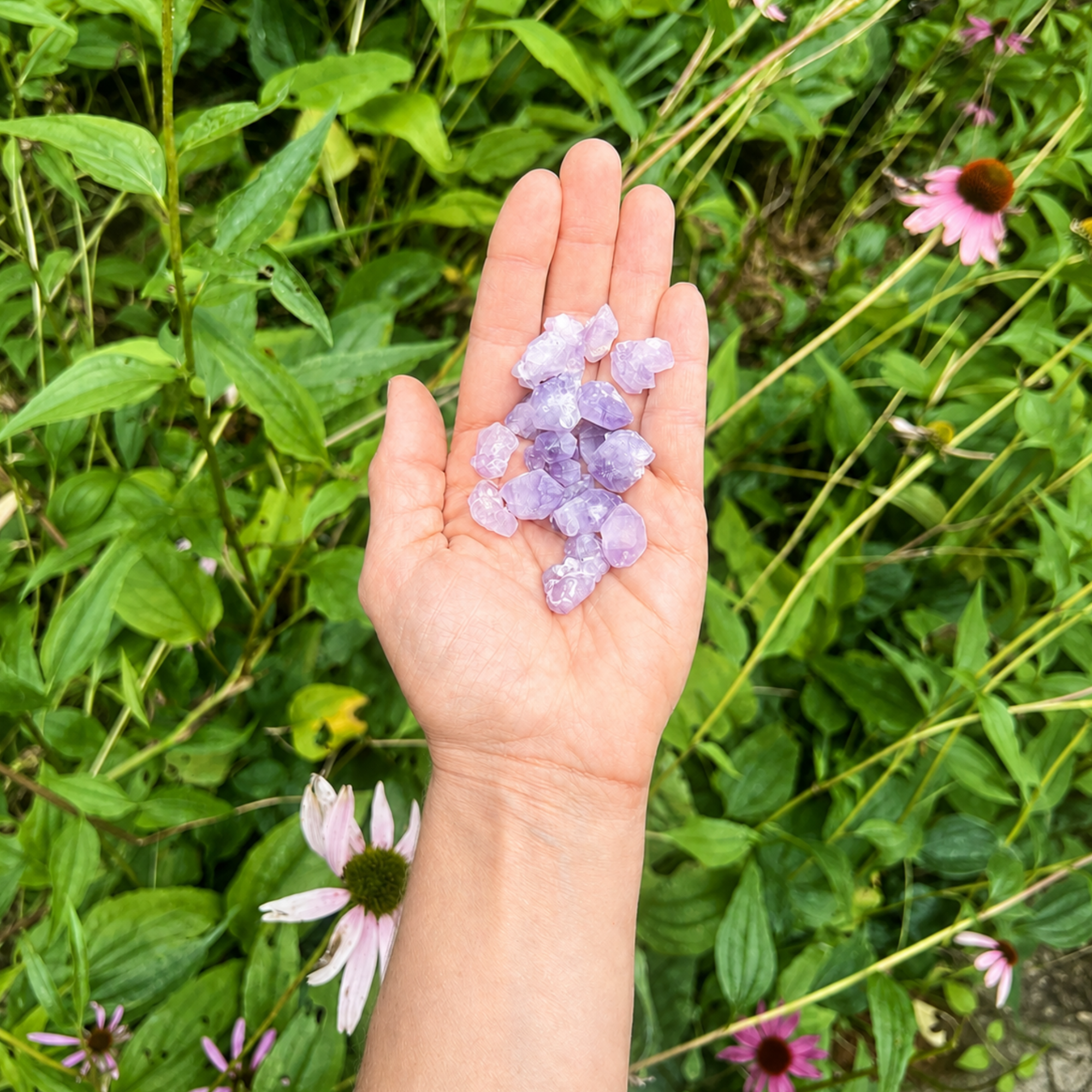 Hand holding mini Brazilian amethyst crystal points outdoors among green plants and purple flowers