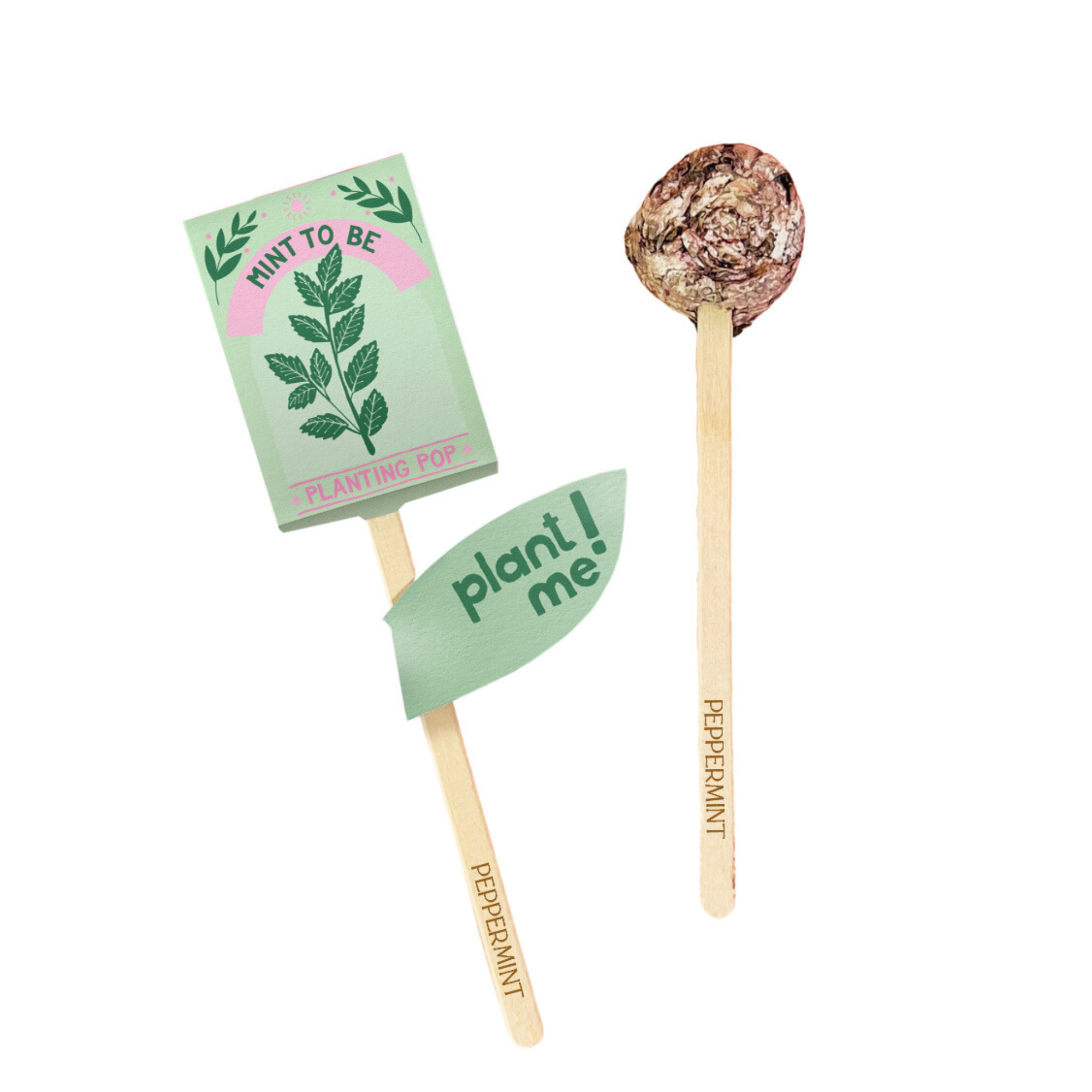 Two Mint To Be peppermint seed planting pops with eco packaging and plant me tag