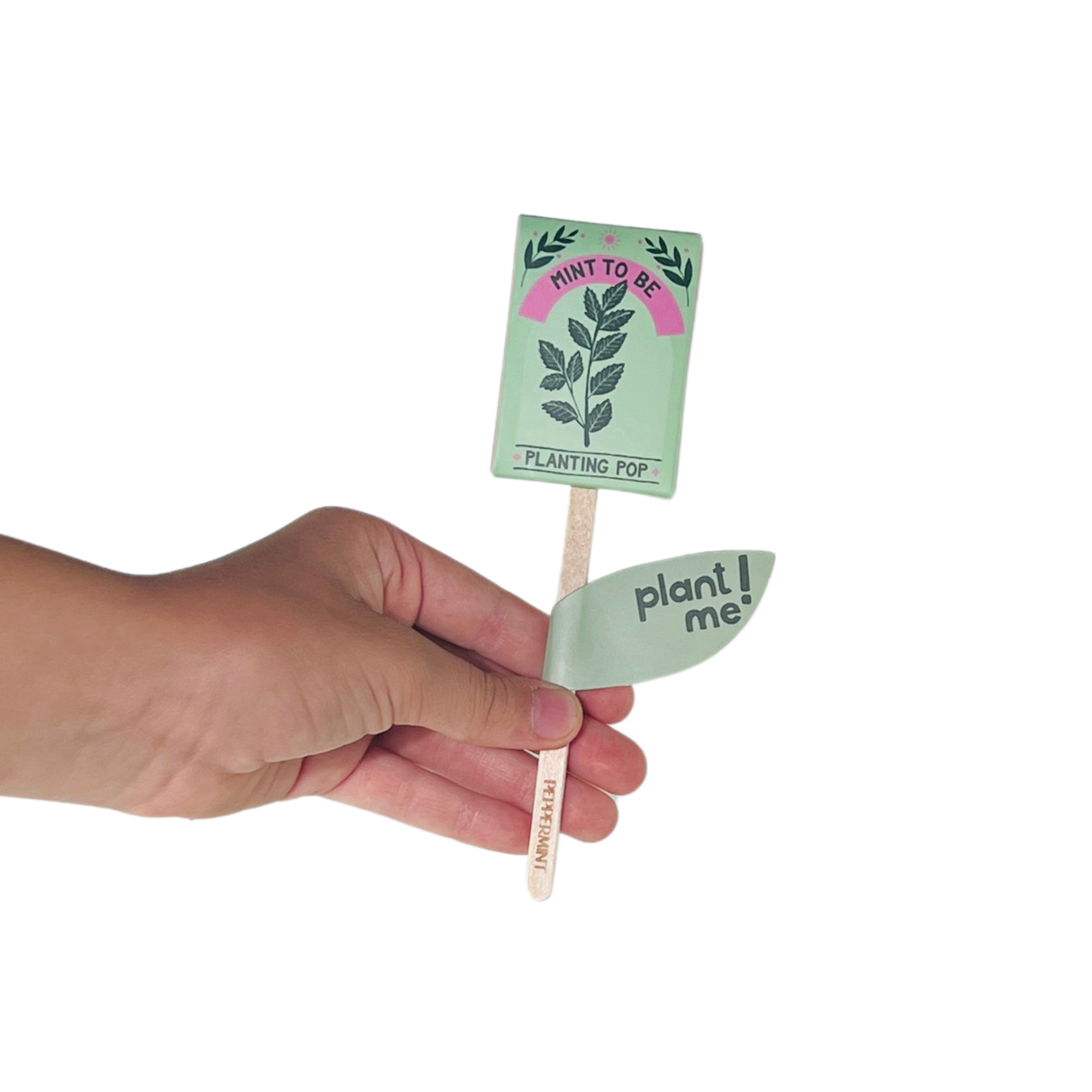 Hand holding Mint To Be peppermint seed planting pop with green eco packaging and plant me tag