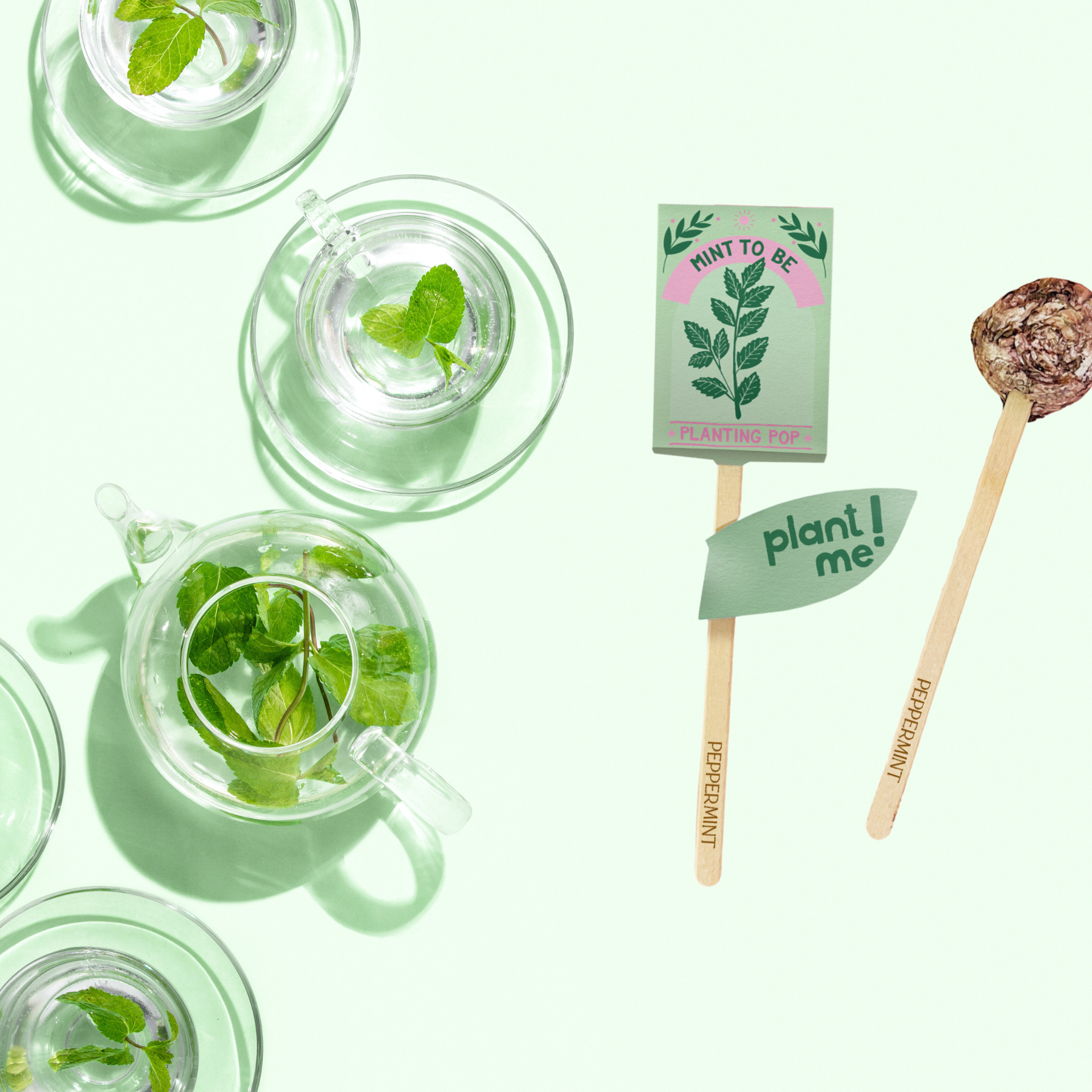 Mint To Be seed planting pop with peppermint leaves and herbal tea cups on mint background