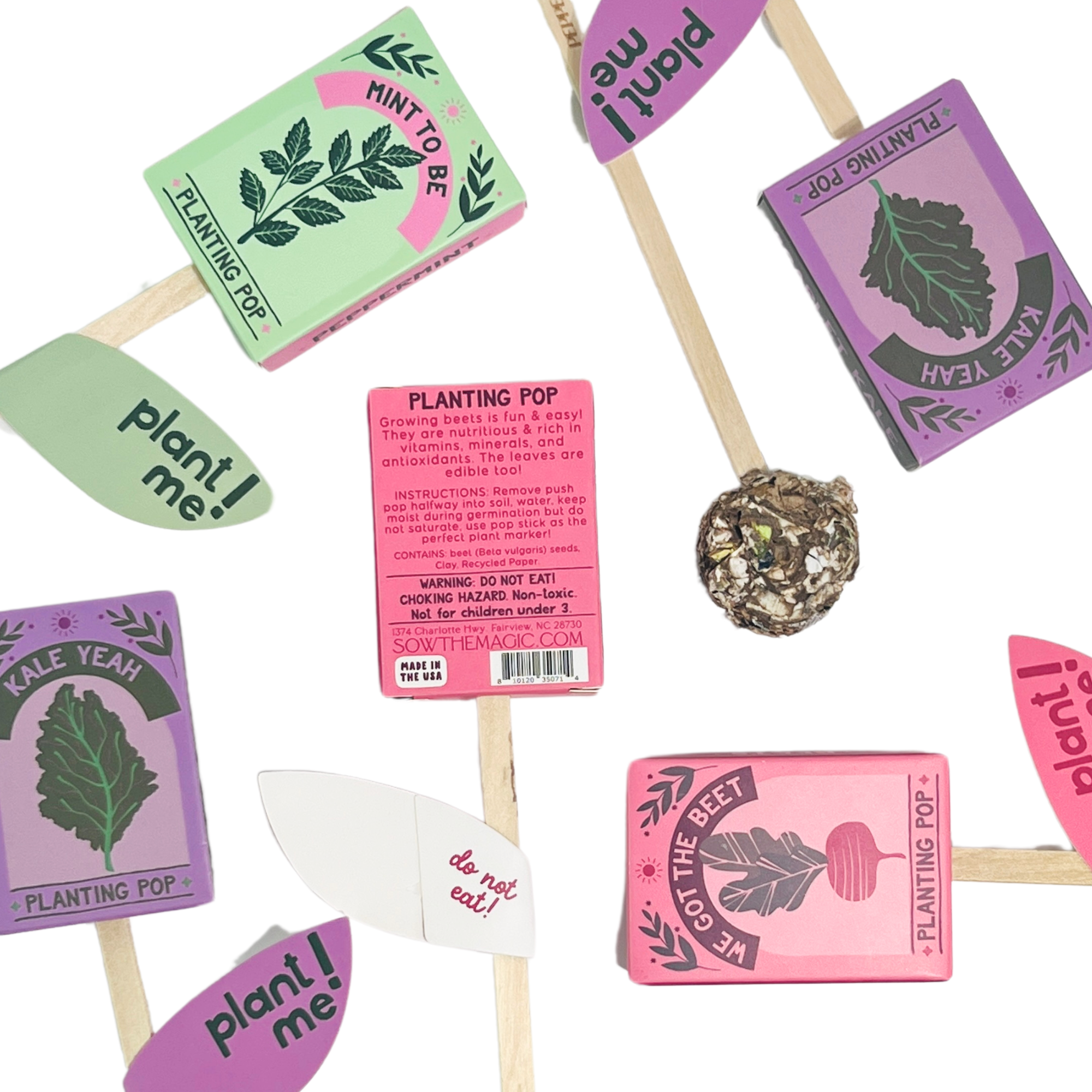 Flat lay of kale, mint, and beet seed planting pops showing packaging and seed balls