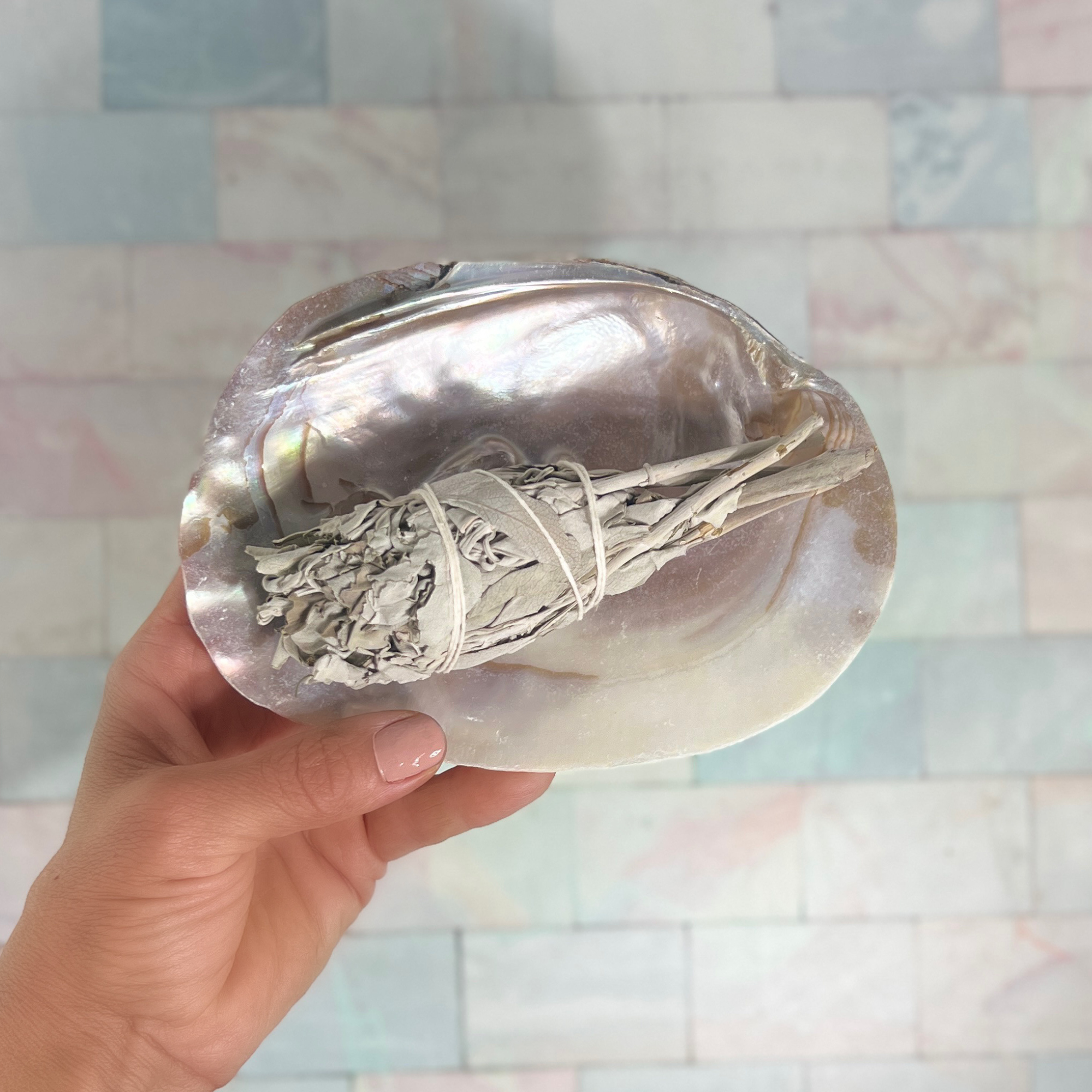 Hand holding pearl shell bowl with white sage bundle for smudging rituals