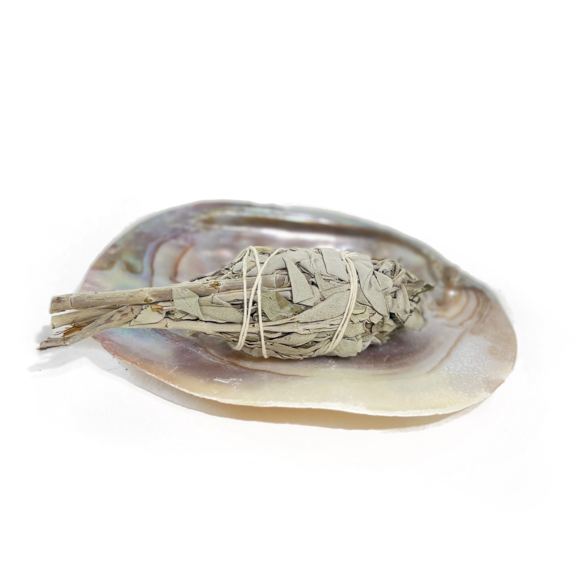 Pearl shell smudge bowl holding dried white sage bundle for cleansing and energy rituals