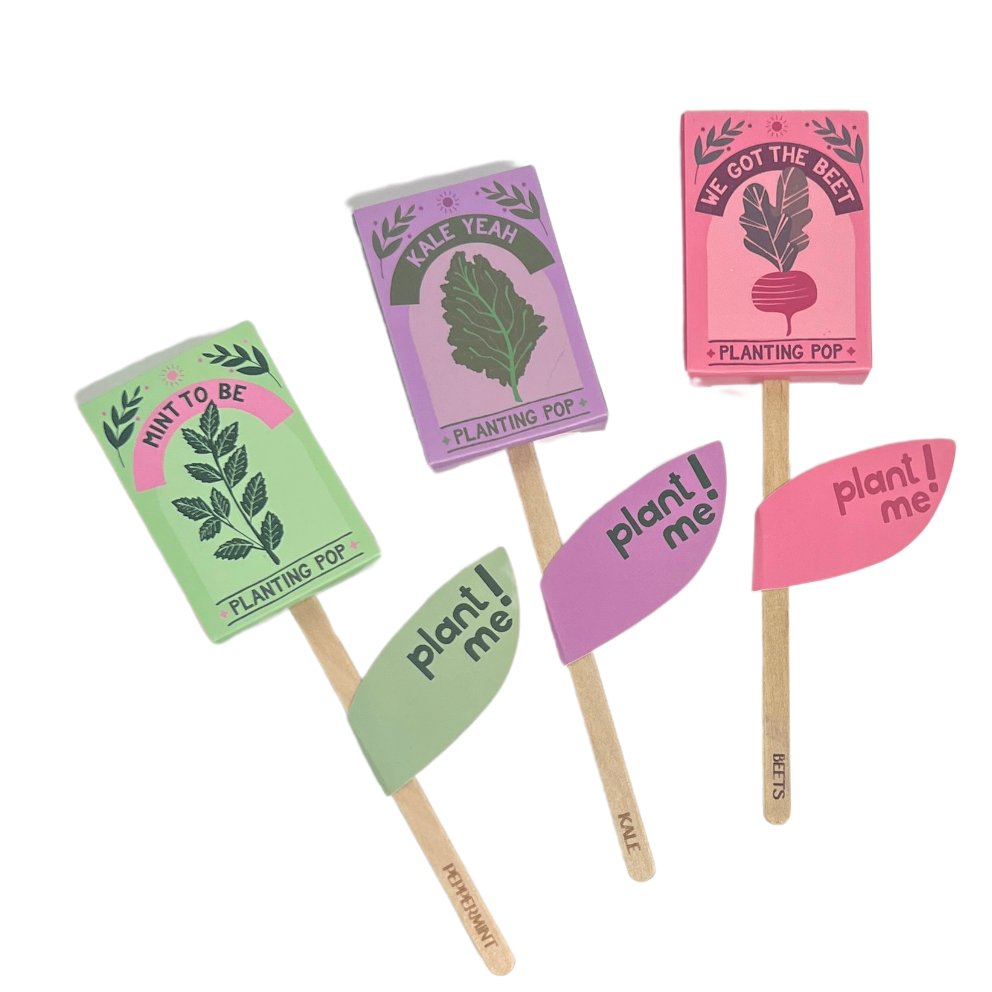 Trio of eco-friendly planting pops labeled Mint To Be Kale Yeah and We Got The Beet with plant me tags