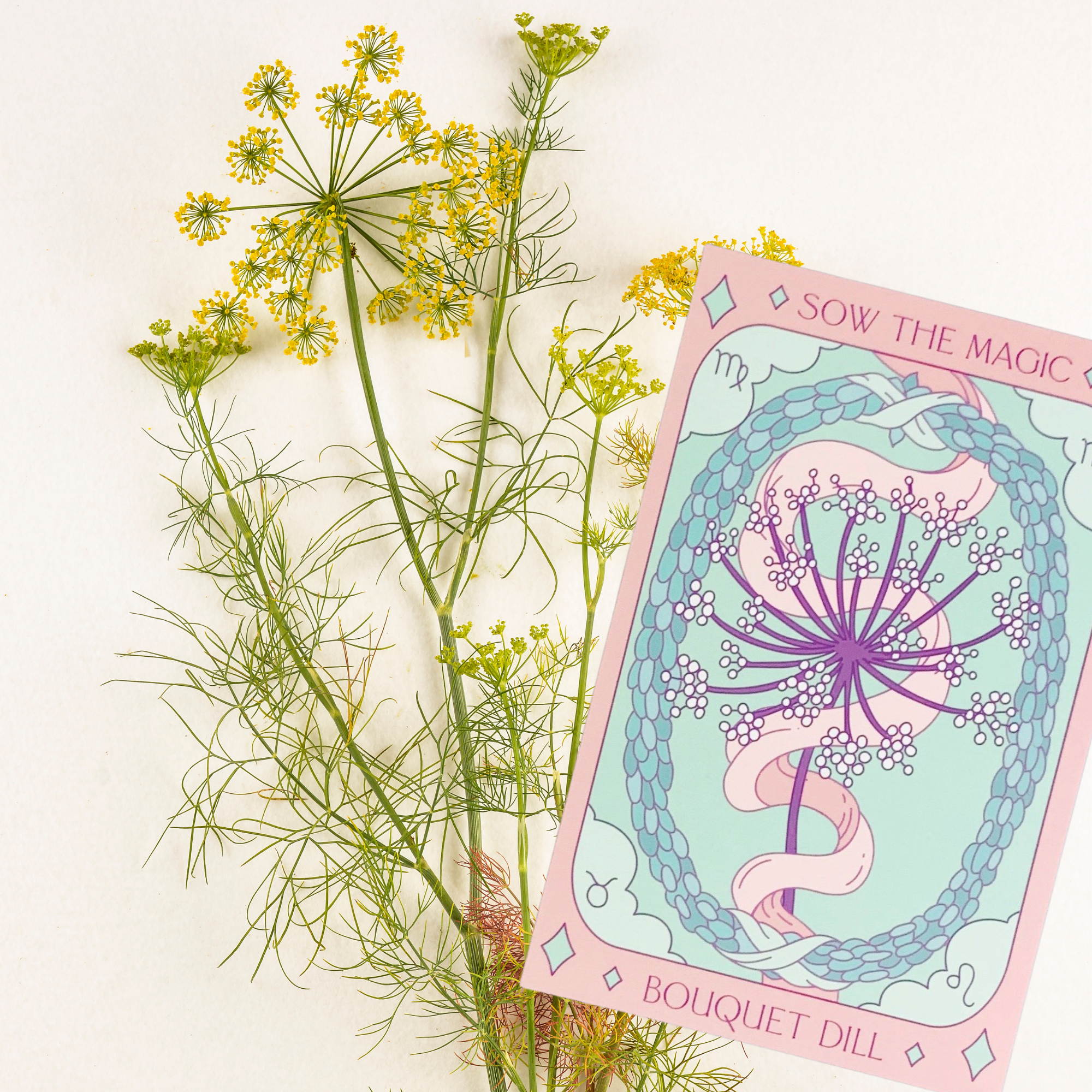 Bouquet Dill tarot seed packet by Sow the Magic styled with yellow dill flowers and greenery