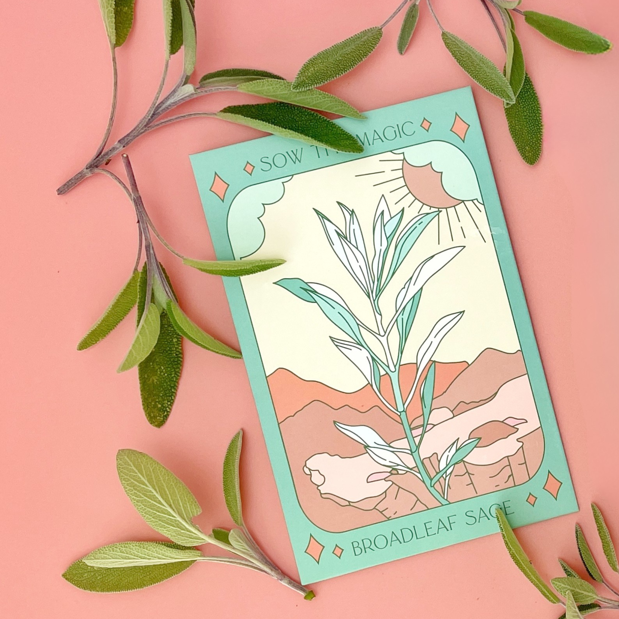 Broadleaf Sage tarot seed packet surrounded by sage sprigs on pink background