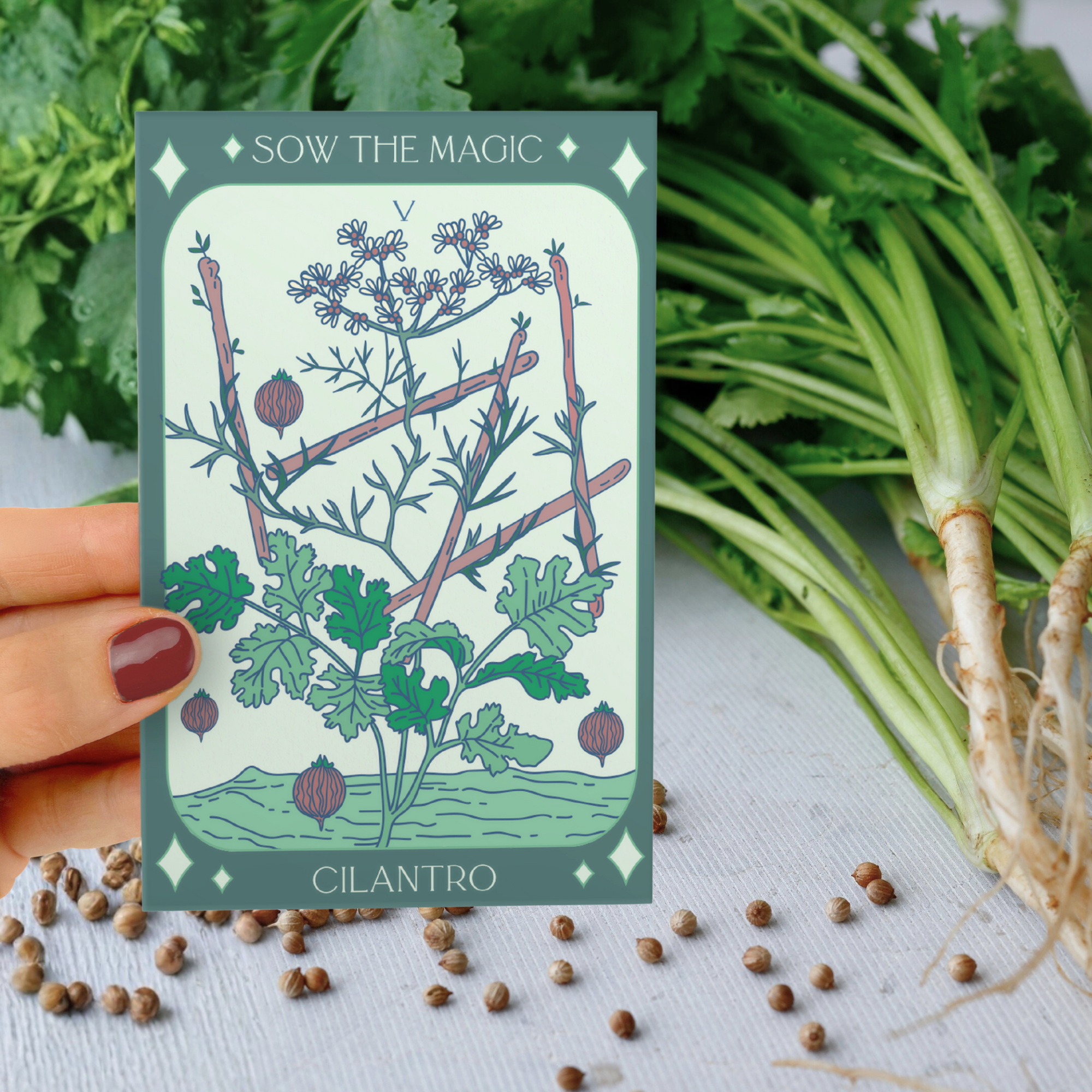 Cilantro tarot seed packet by Sow the Magic shown with fresh cilantro bunch and seeds