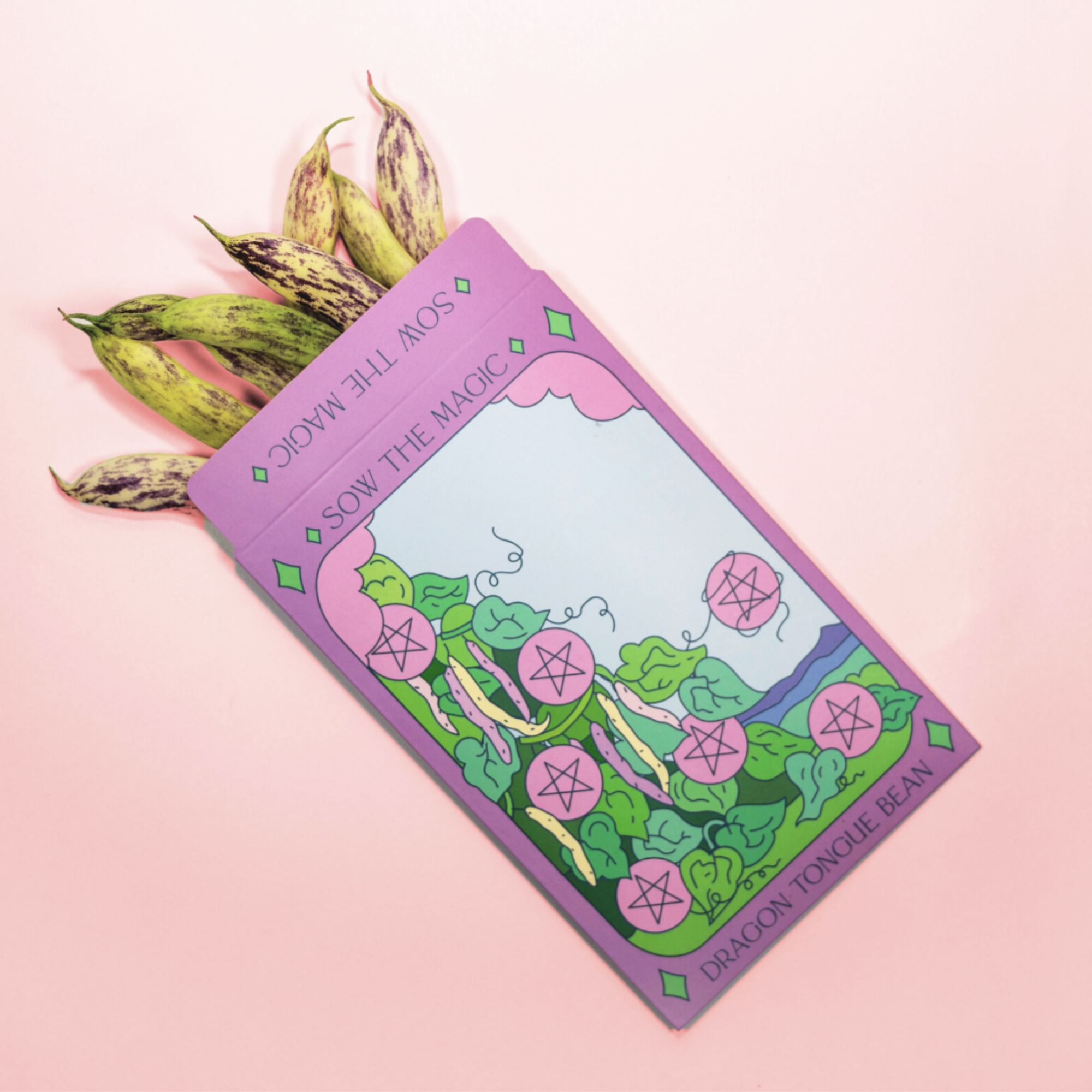 Dragon Tongue Bean tarot seed packet on pastel pink background with heirloom speckled beans spilling out